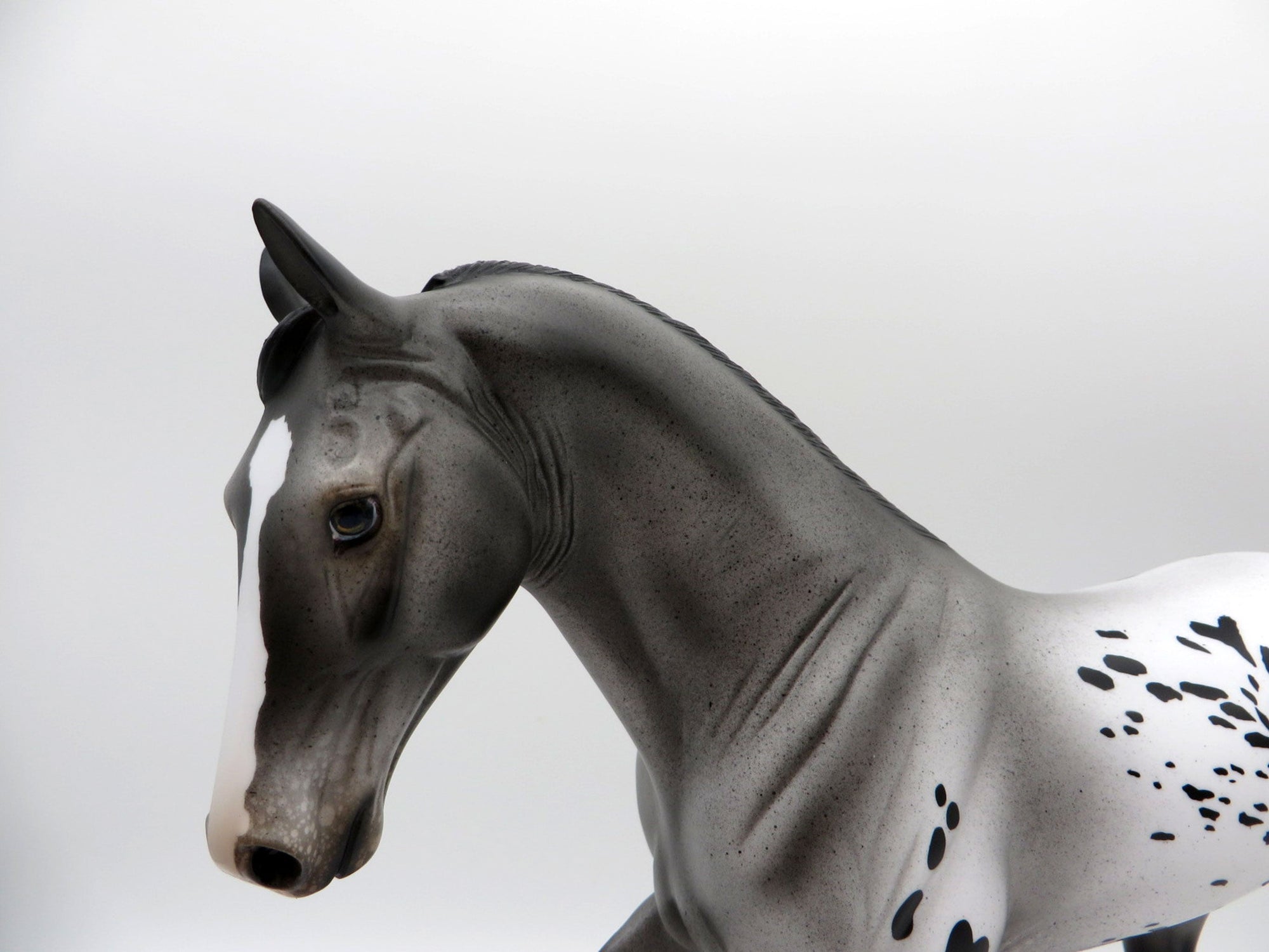 Zadie-Appaloosa Tennessee Walker Horse Painted By Audrey Dixon EQ 21
