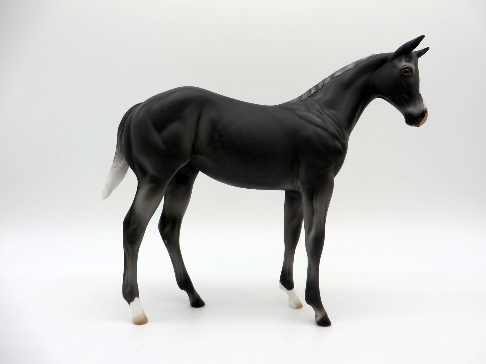 Zagin OOAK Black Weanling Equilocity 2021 Painted by Audrey Dixon
