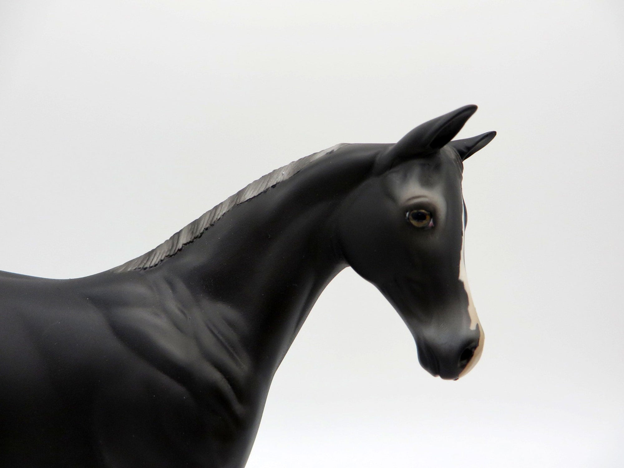 Zagin OOAK Black Weanling Equilocity 2021 Painted by Audrey Dixon