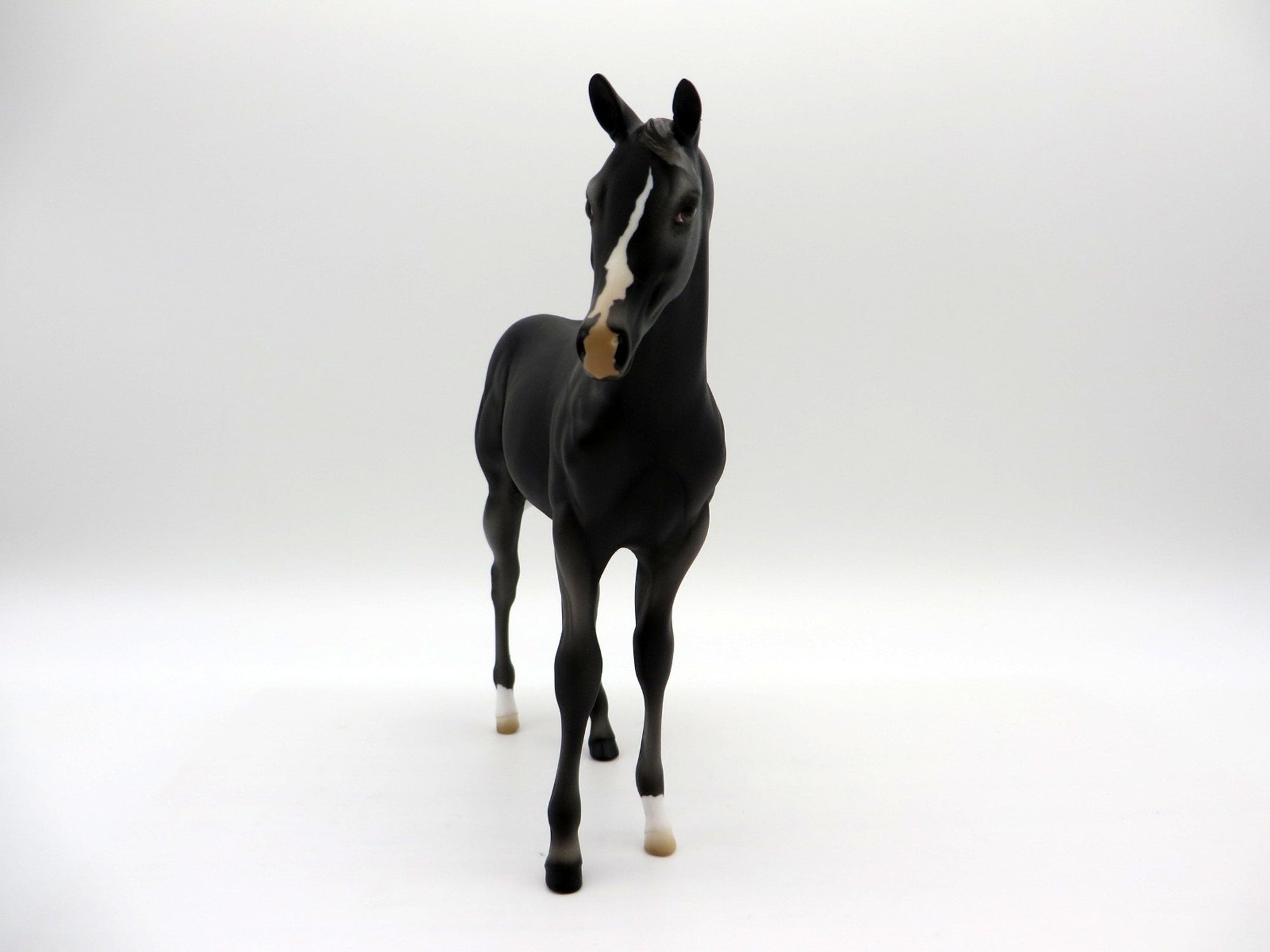 Zagin OOAK Black Weanling Equilocity 2021 Painted by Audrey Dixon