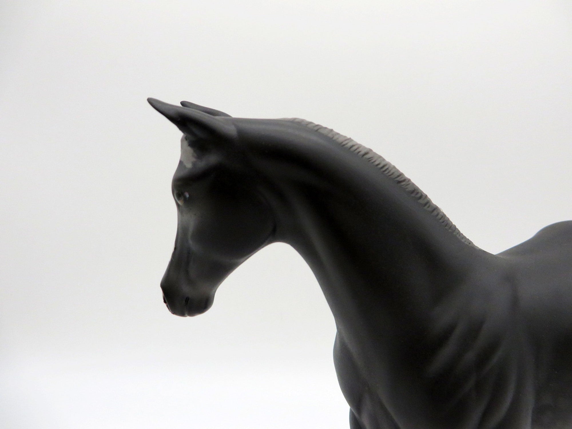 Zagin OOAK Black Weanling Equilocity 2021 Painted by Audrey Dixon