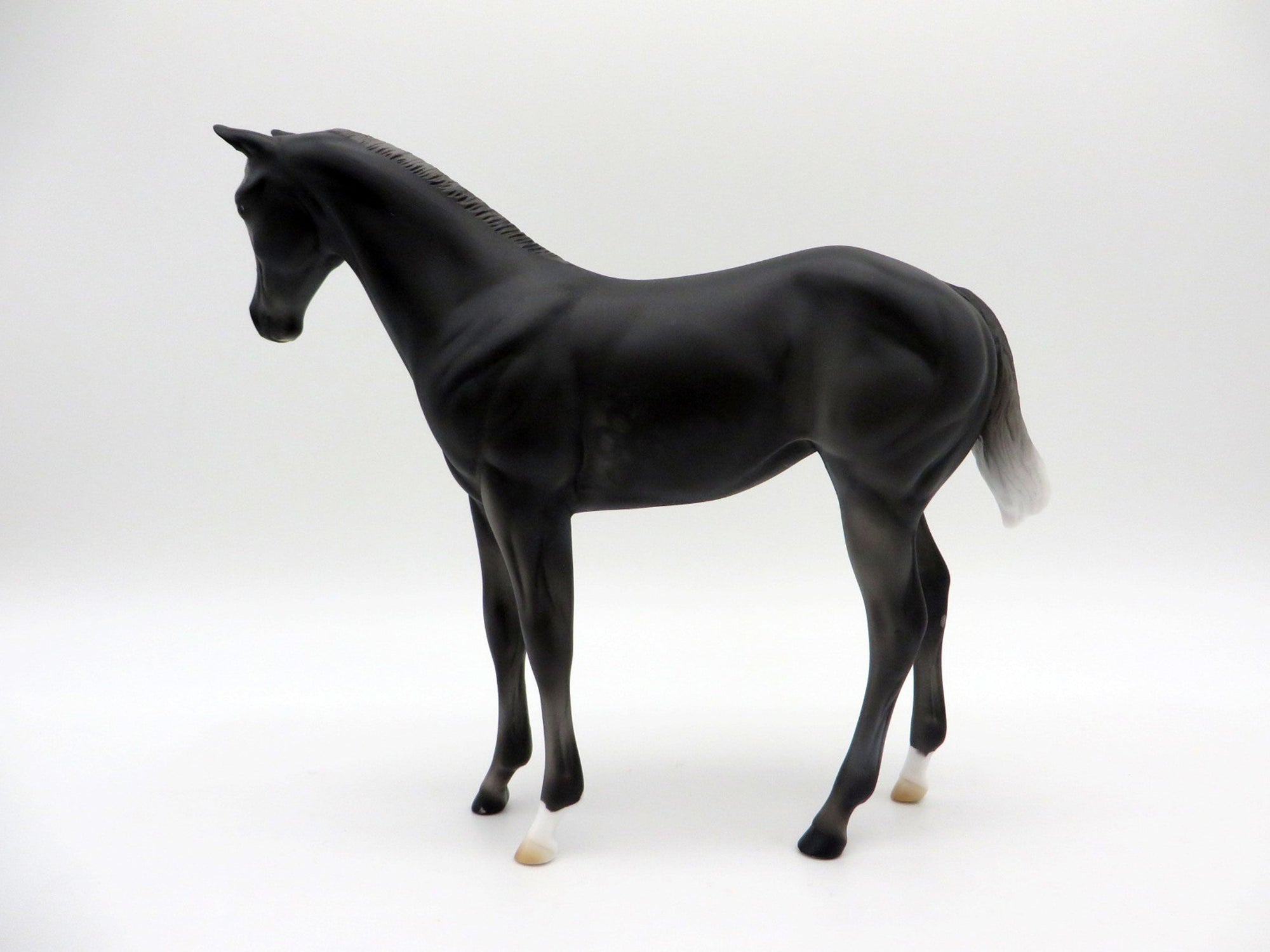 Zagin OOAK Black Weanling Equilocity 2021 Painted by Audrey Dixon