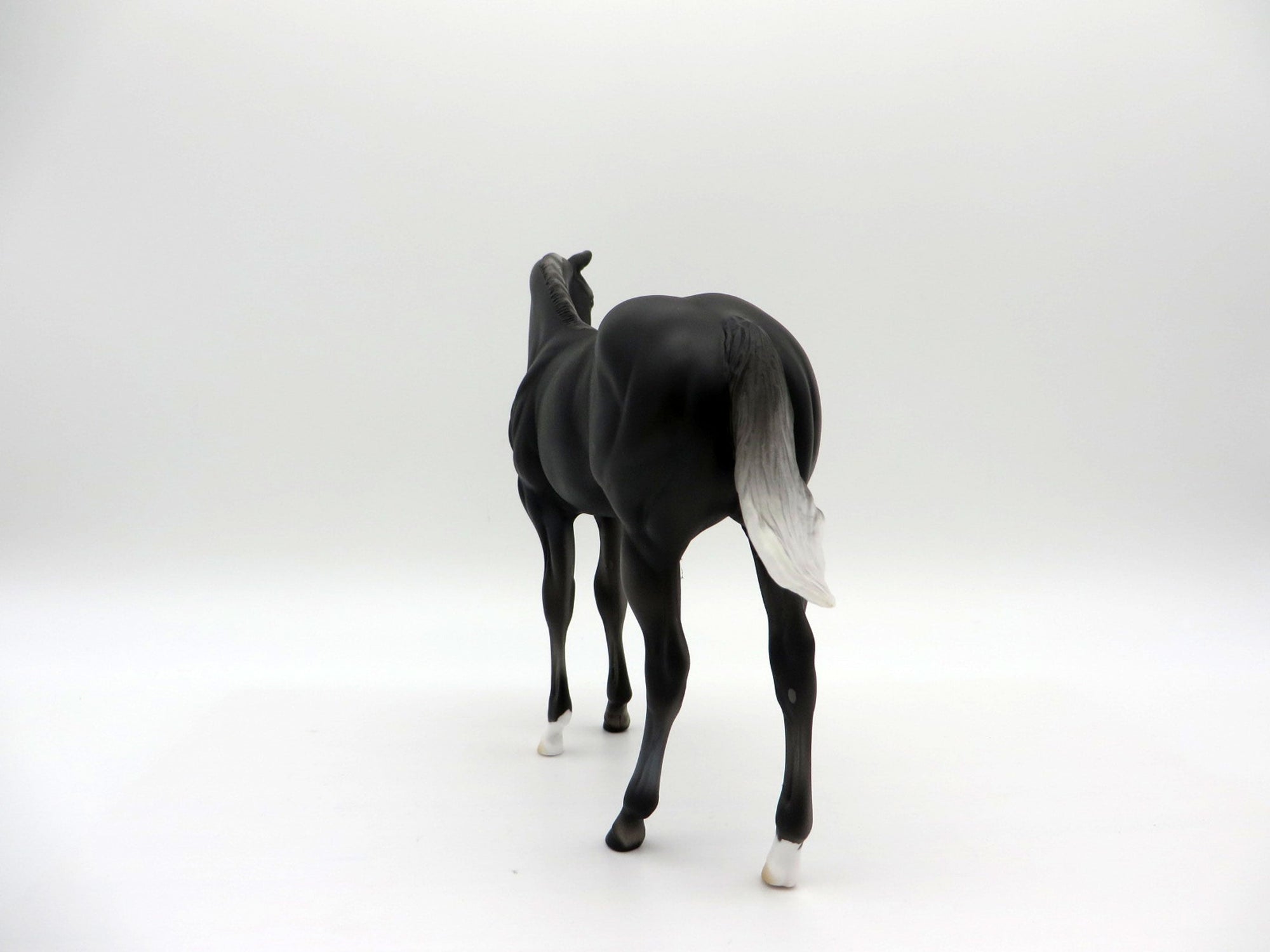 Zagin OOAK Black Weanling Equilocity 2021 Painted by Audrey Dixon