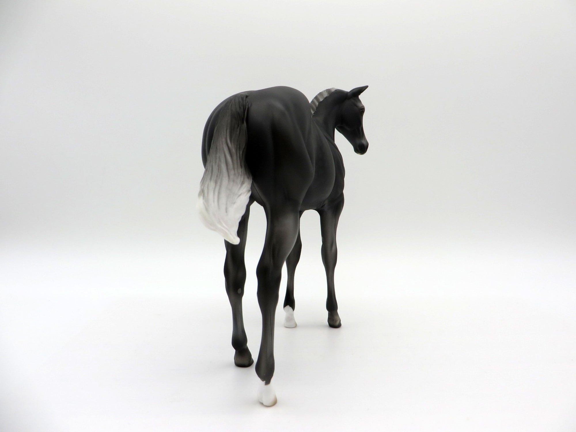 Zagin OOAK Black Weanling Equilocity 2021 Painted by Audrey Dixon