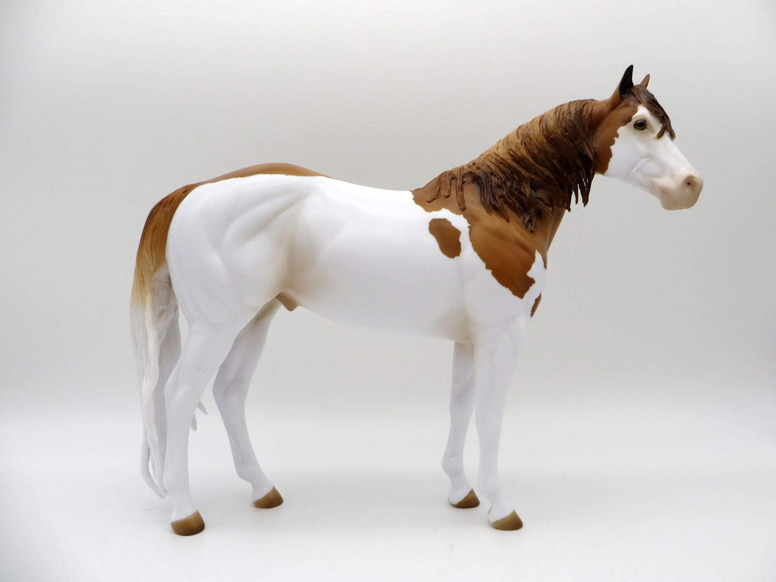 Zaiquiri-OOAK Red Dun Splash ISH Painted By Audrey Dixon EQ 21