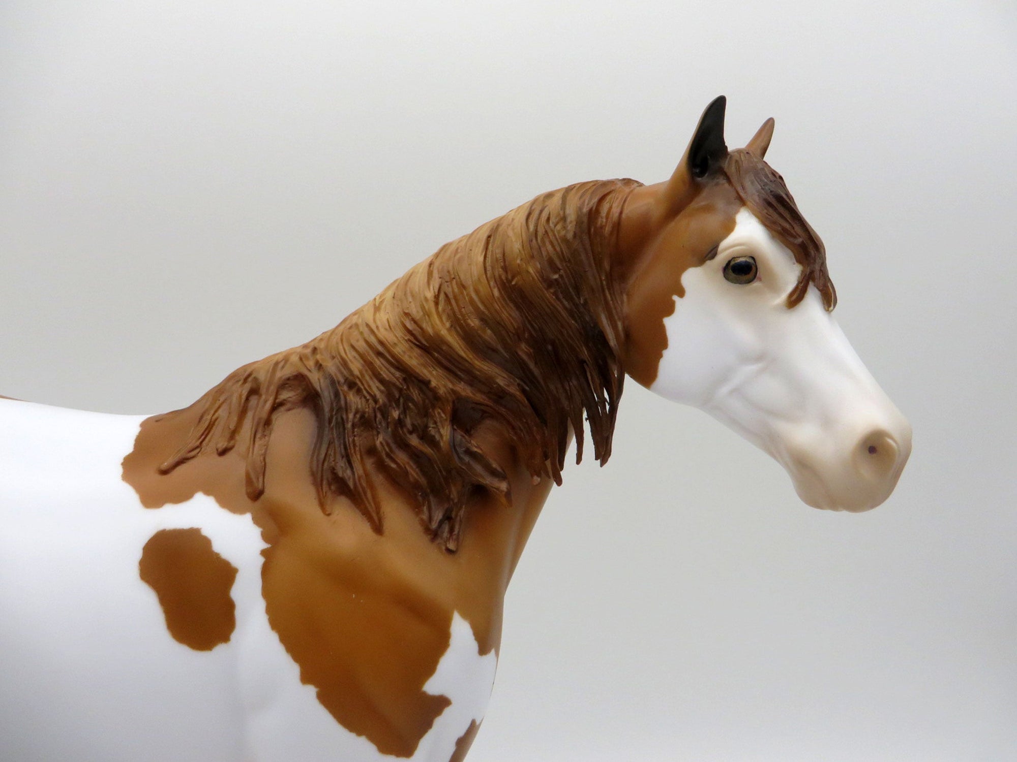 Zaiquiri-OOAK Red Dun Splash ISH Painted By Audrey Dixon EQ 21