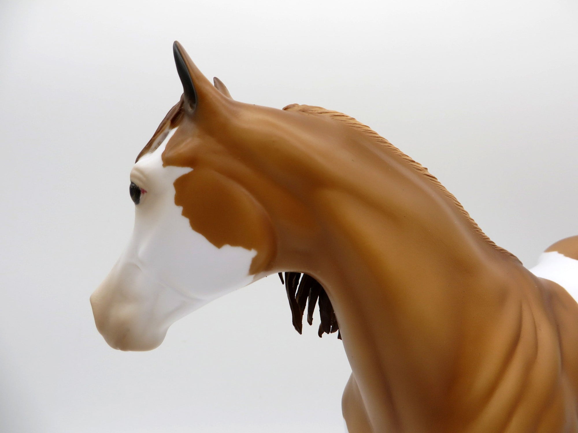 Zaiquiri-OOAK Red Dun Splash ISH Painted By Audrey Dixon EQ 21