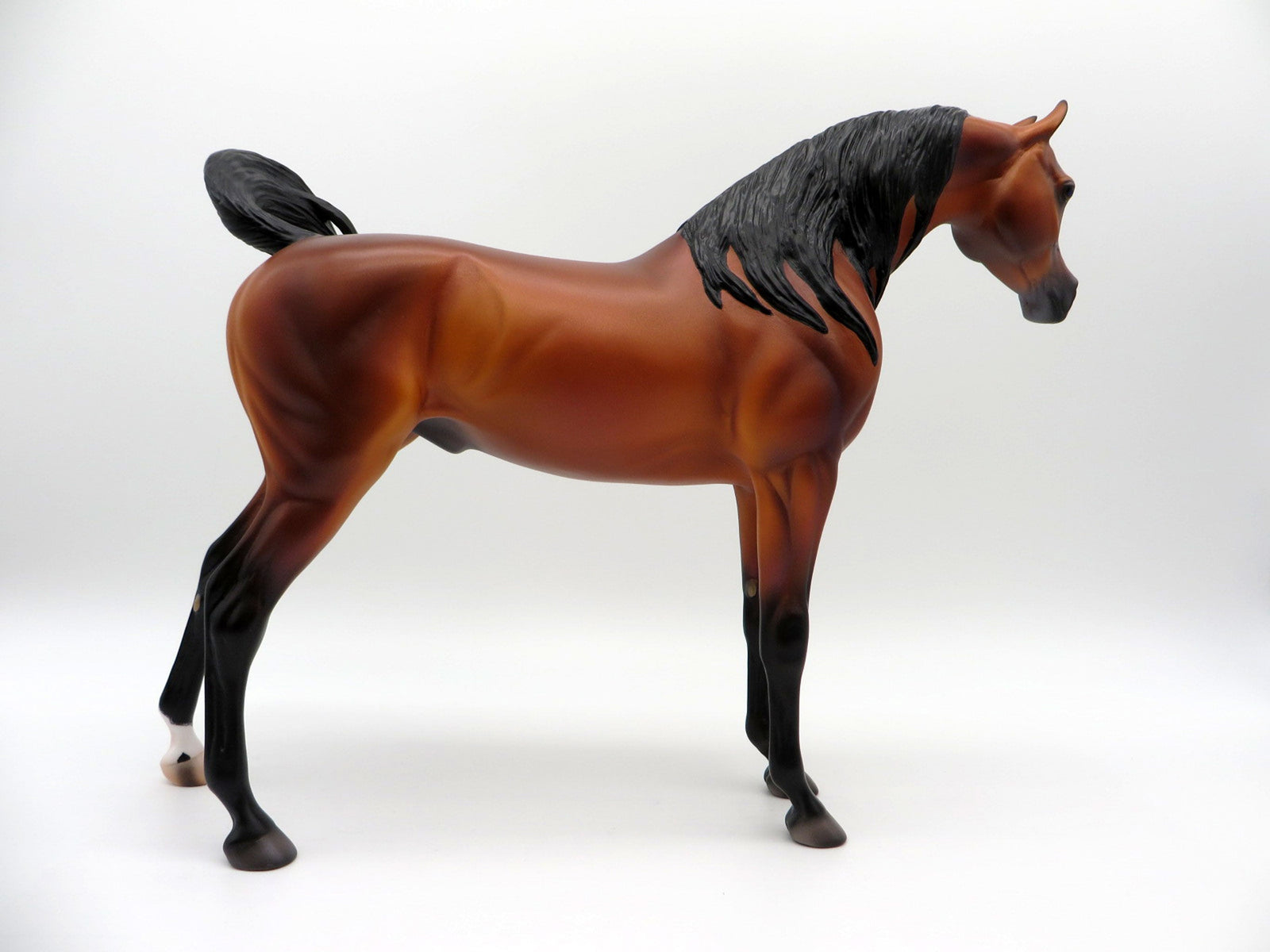 Zembezi-OOAK Bay Arabian By Caroline Boydston 4/5/21