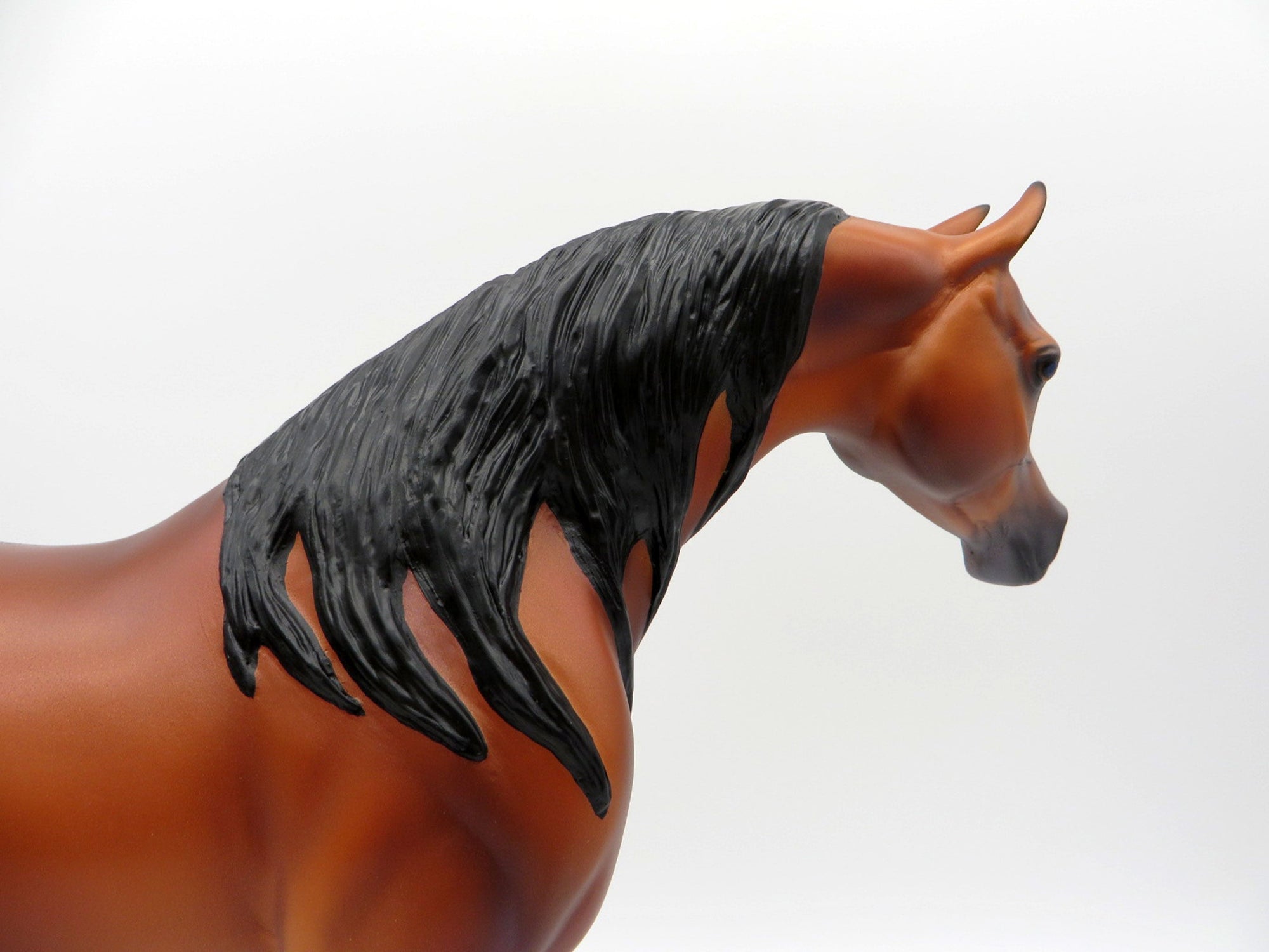 Zembezi-OOAK Bay Arabian By Caroline Boydston 4/5/21