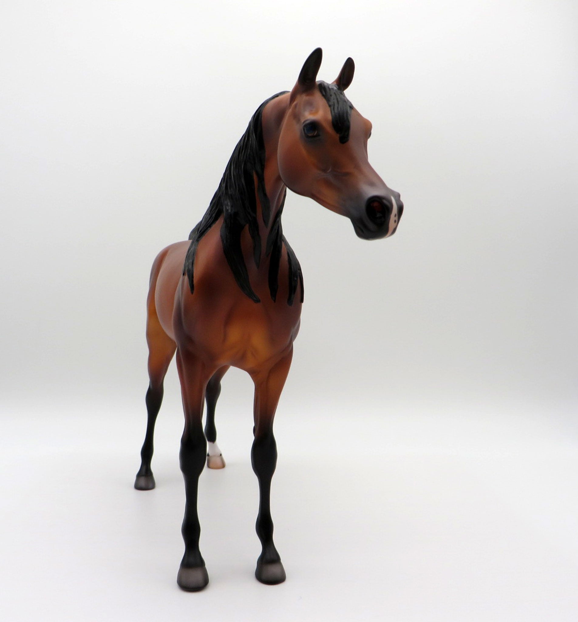 Zembezi-OOAK Bay Arabian By Caroline Boydston 4/5/21