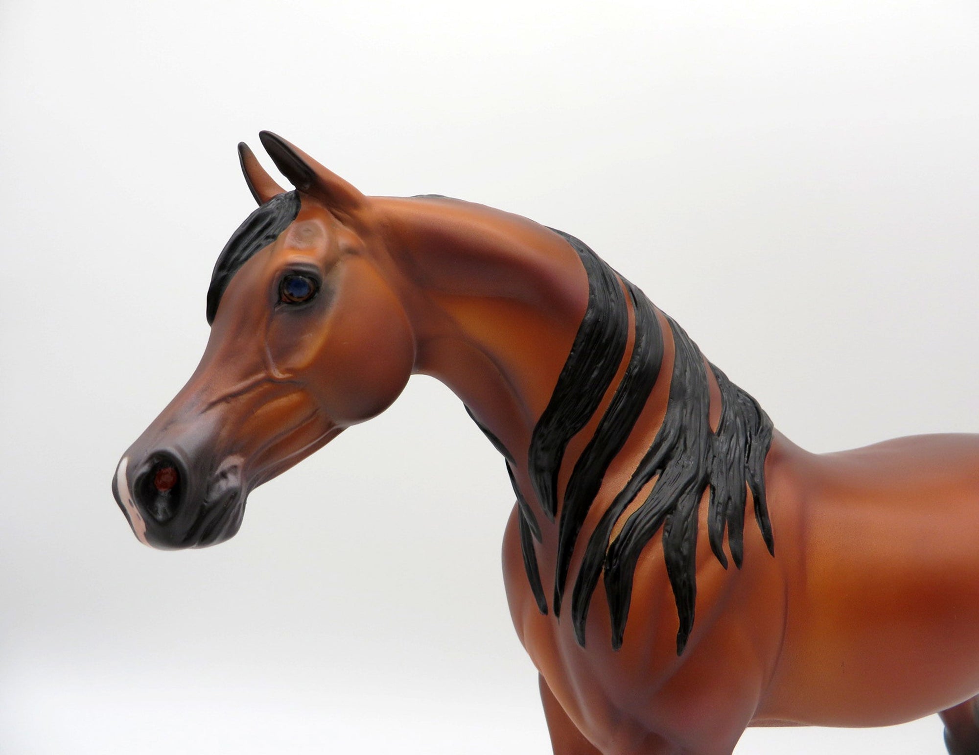 Zembezi-OOAK Bay Arabian By Caroline Boydston 4/5/21