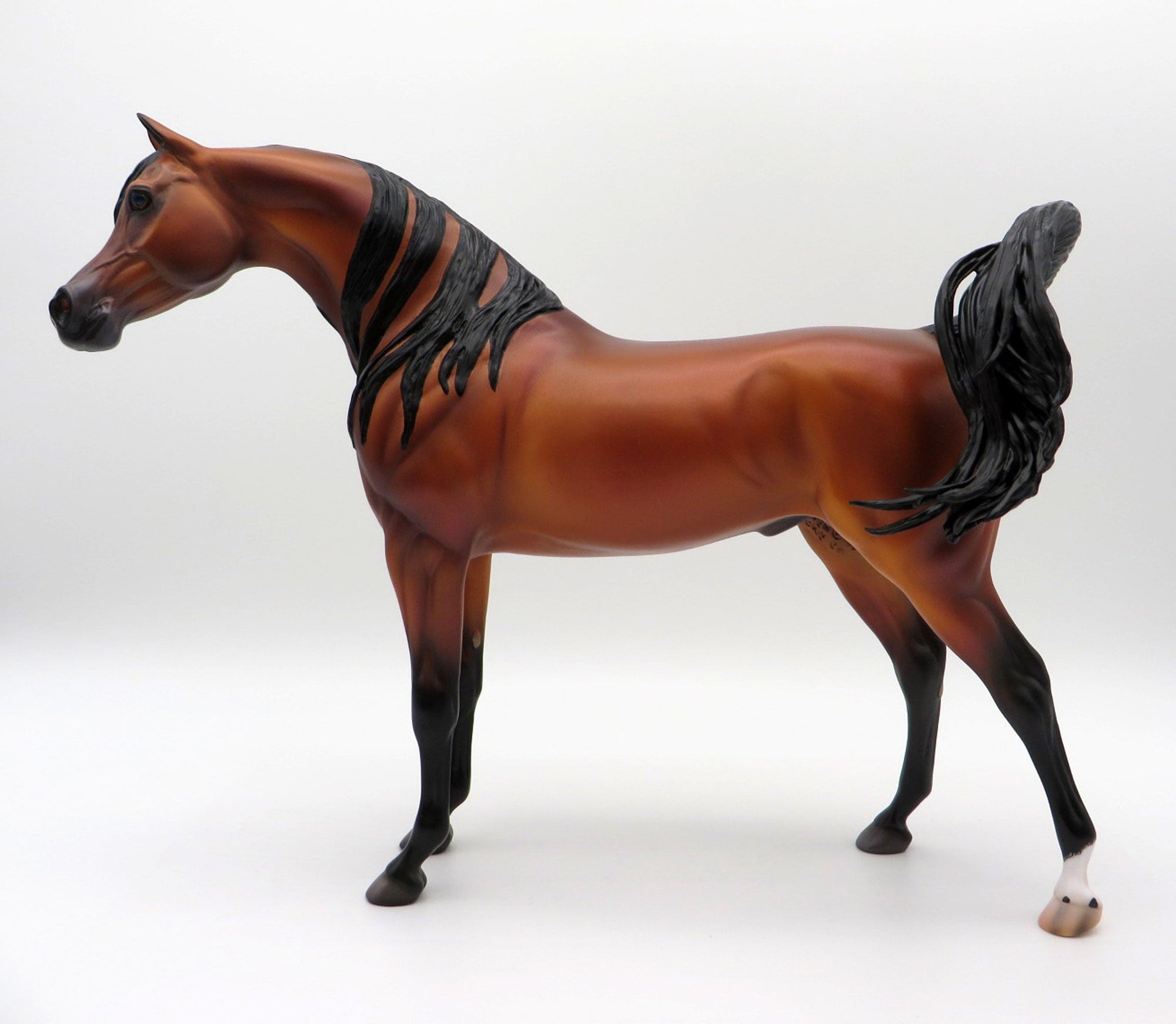 Zembezi-OOAK Bay Arabian By Caroline Boydston 4/5/21