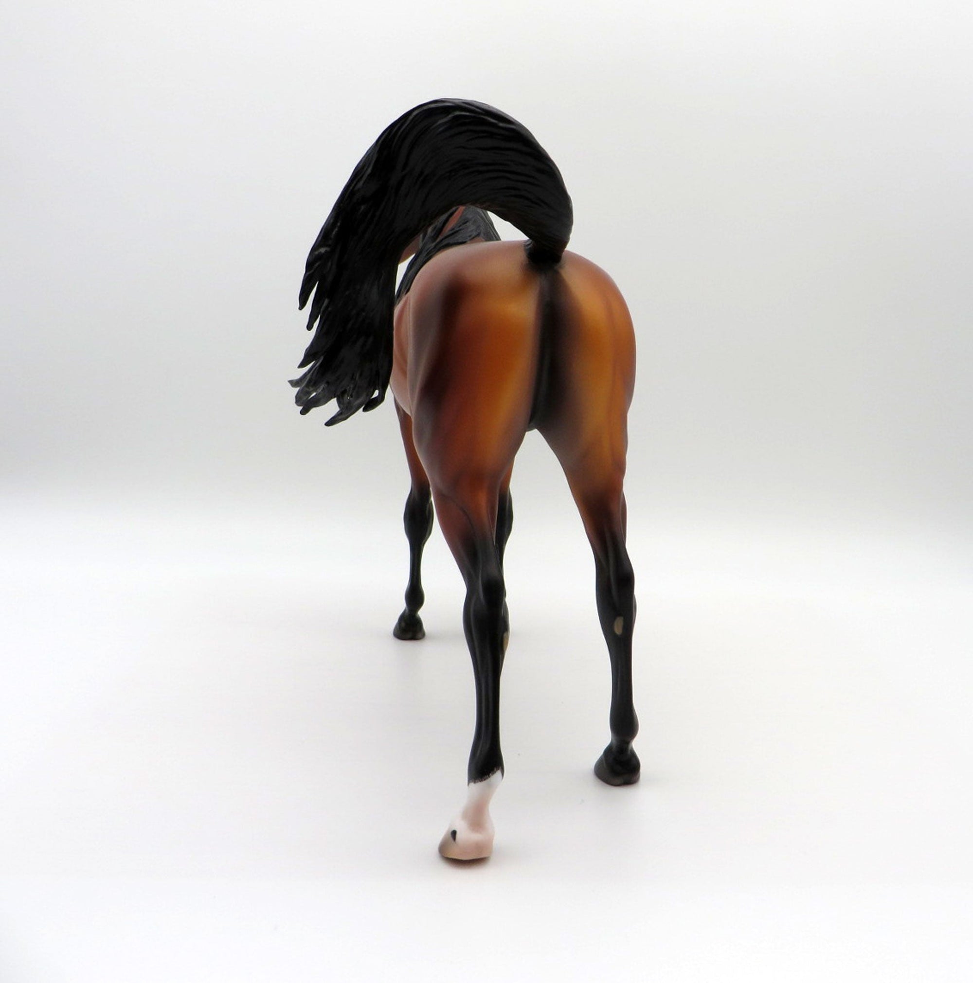 Zembezi-OOAK Bay Arabian By Caroline Boydston 4/5/21