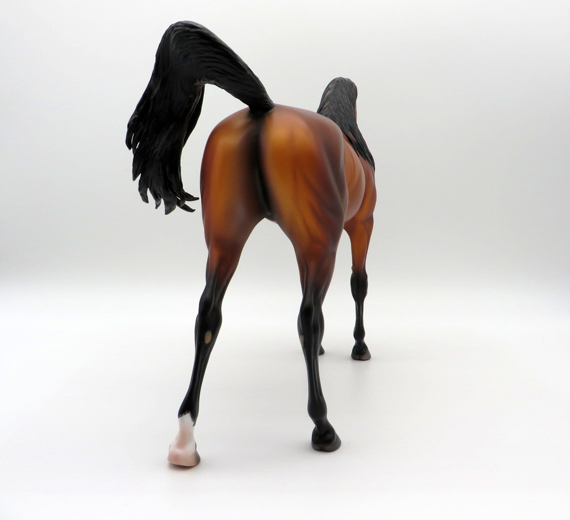 Zembezi-OOAK Bay Arabian By Caroline Boydston 4/5/21