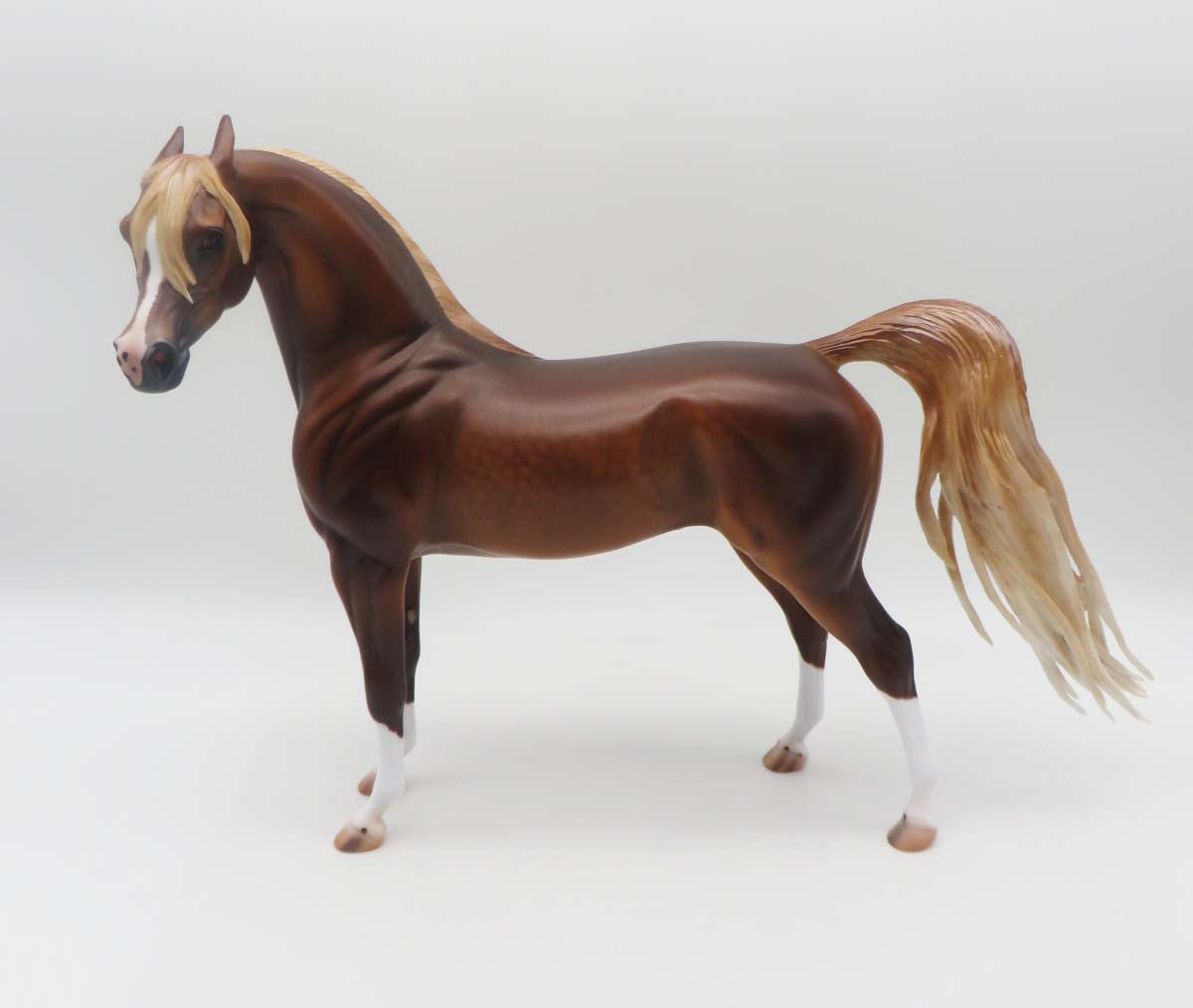 Zappa-OOAK Dapple Chestnut Arabian By Caroline Boydston 3/17/23