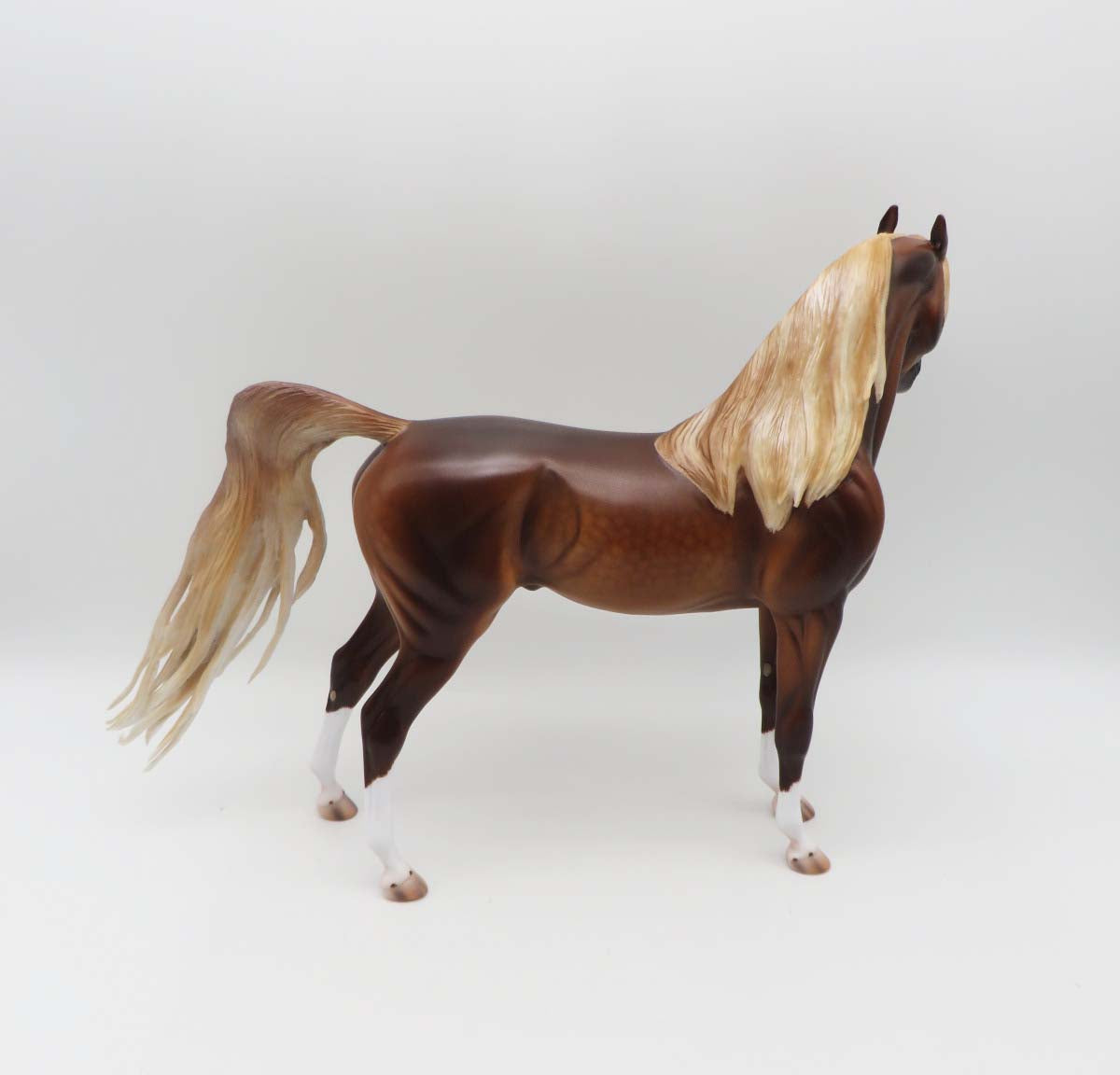 Zappa-OOAK Dapple Chestnut Arabian By Caroline Boydston 3/17/23