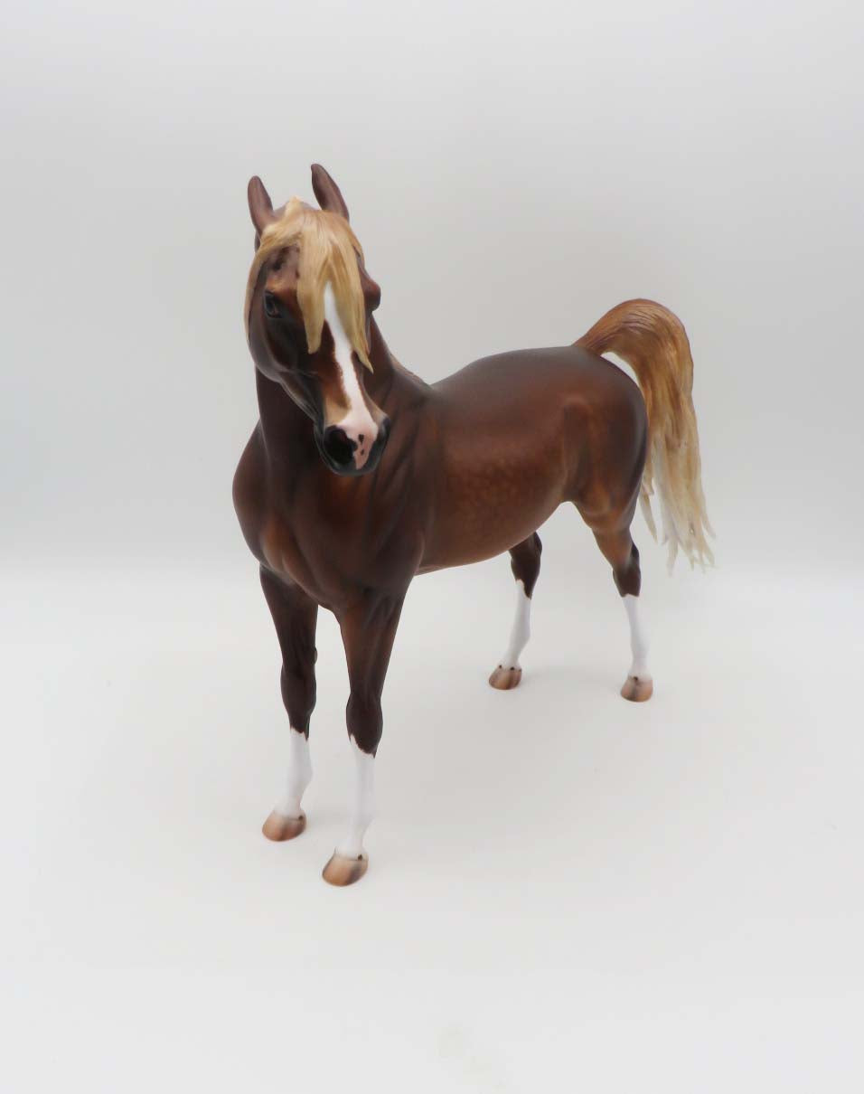 Zappa-OOAK Dapple Chestnut Arabian By Caroline Boydston 3/17/23