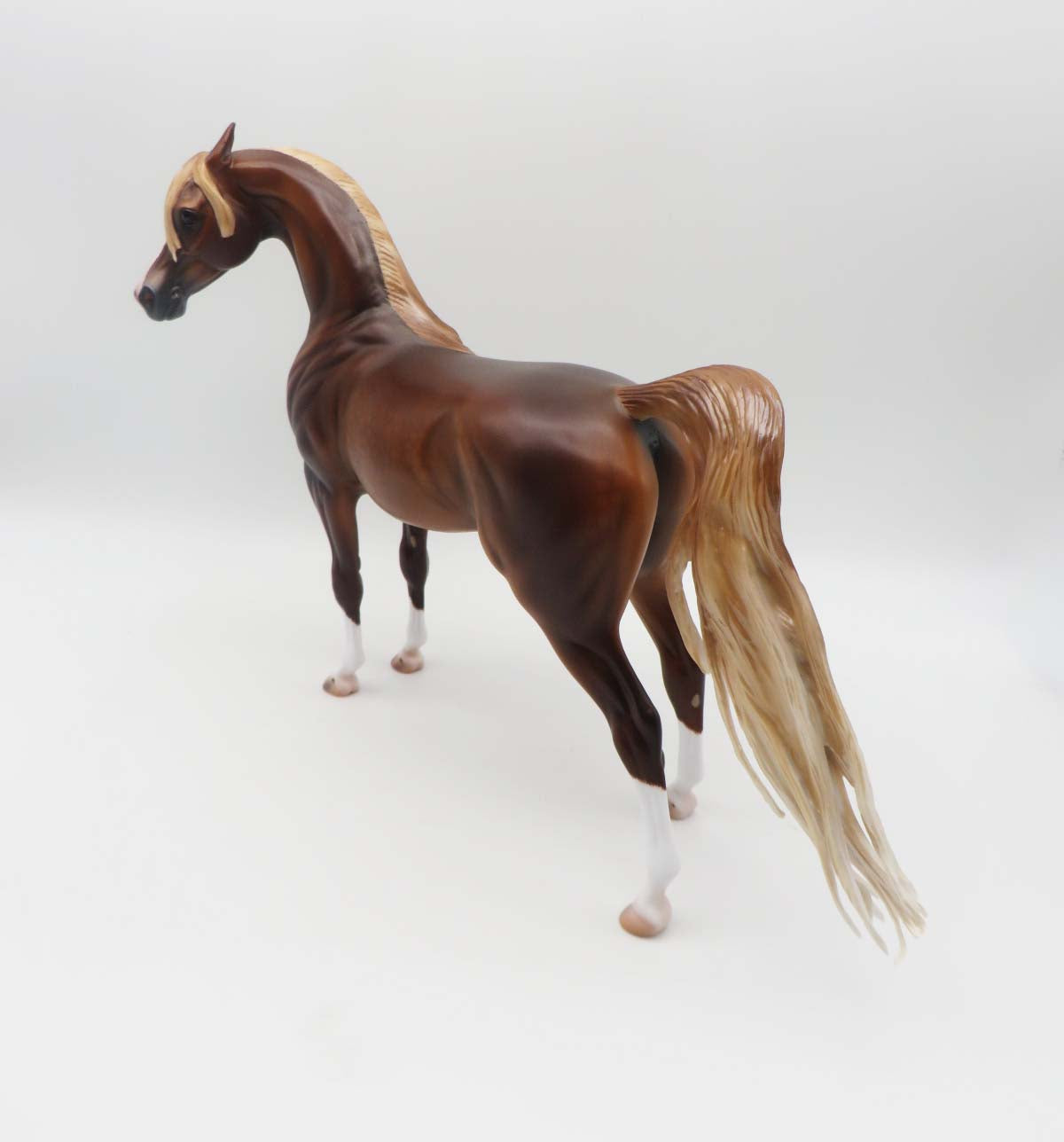 Zappa-OOAK Dapple Chestnut Arabian By Caroline Boydston 3/17/23