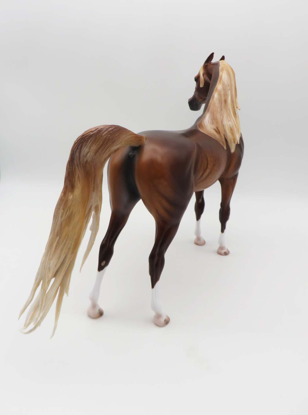 Zappa-OOAK Dapple Chestnut Arabian By Caroline Boydston 3/17/23