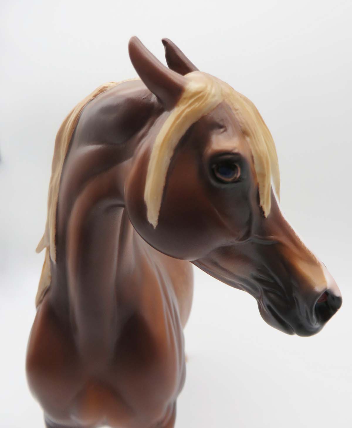 Zappa-OOAK Dapple Chestnut Arabian By Caroline Boydston 3/17/23