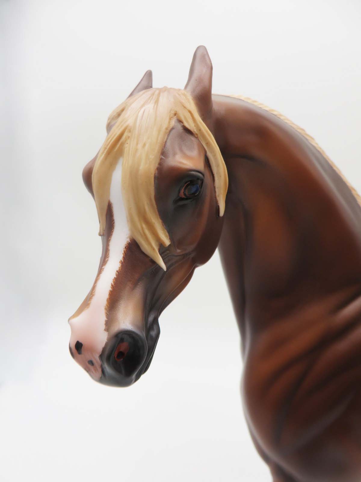 Zappa-OOAK Dapple Chestnut Arabian By Caroline Boydston 3/17/23