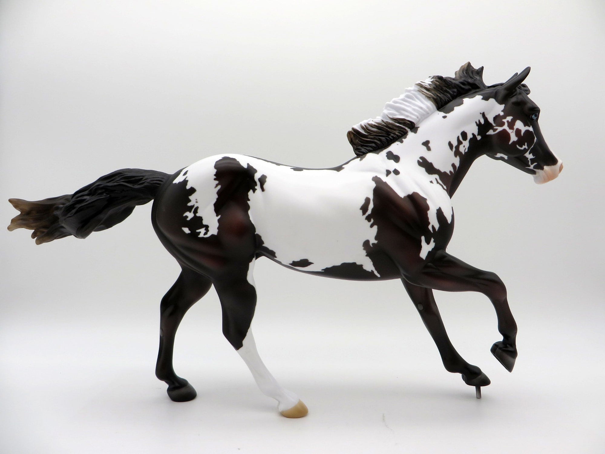 Zeke-LE-7 Bay Pinto Foundation Quarter Horse Painted by Madison EQ 2021