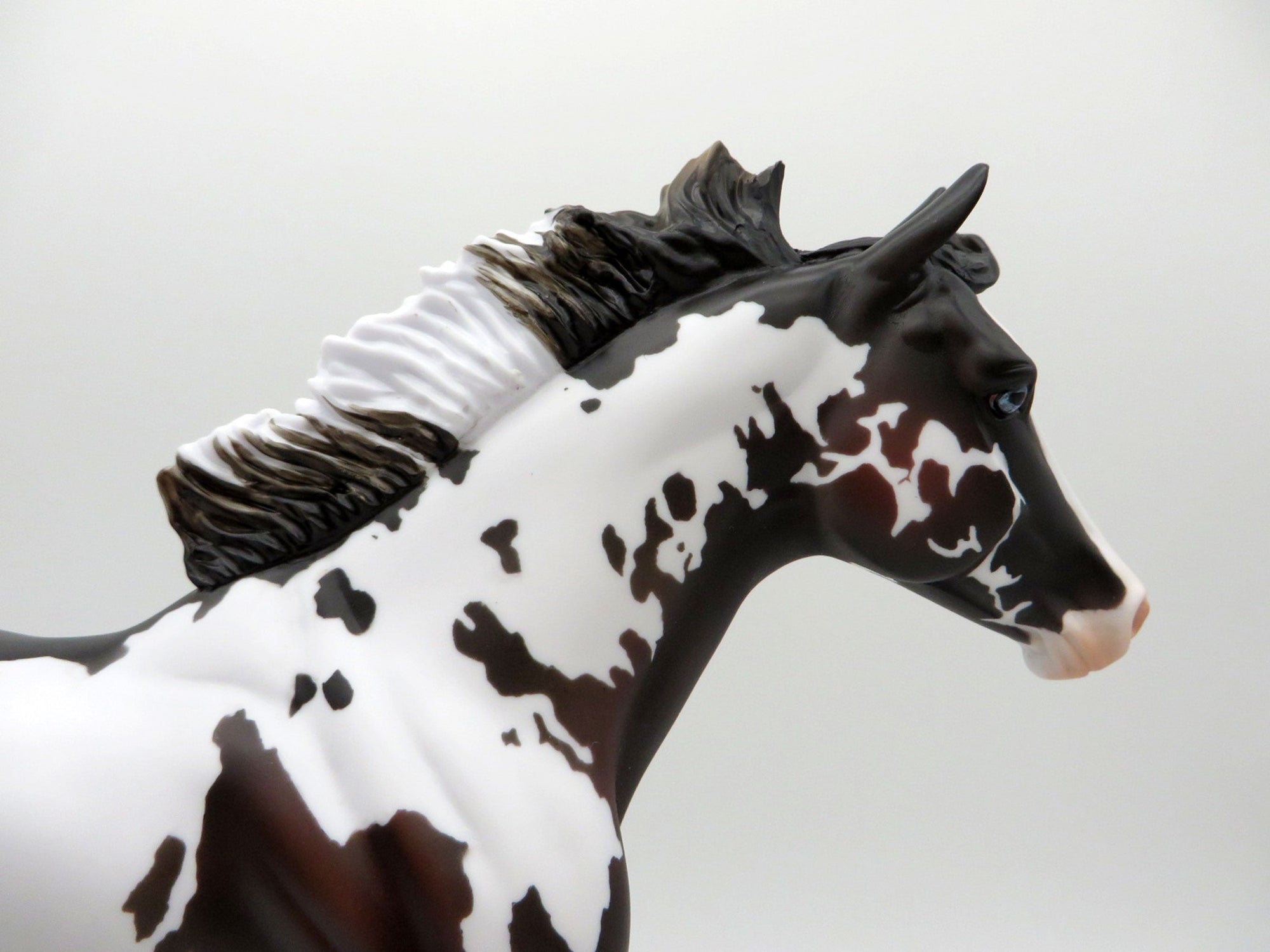 Zeke-LE-7 Bay Pinto Foundation Quarter Horse Painted by Madison EQ 2021