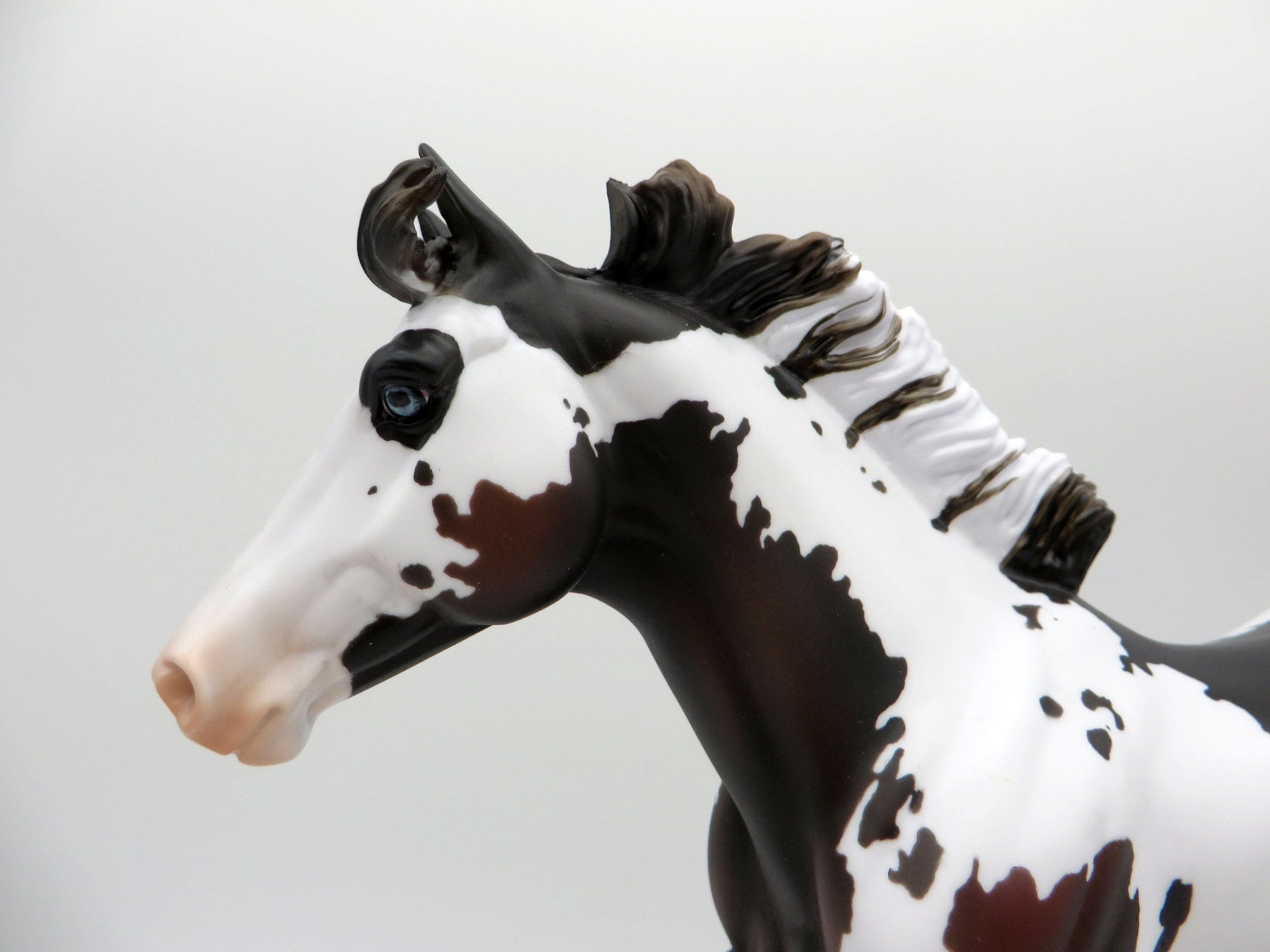 Zeke-LE-7 Bay Pinto Foundation Quarter Horse Painted by Madison EQ 2021