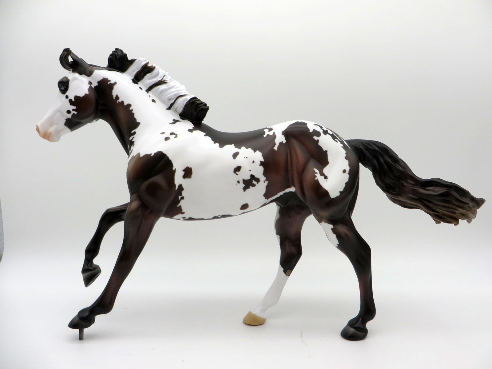 Zeke-LE-7 Bay Pinto Foundation Quarter Horse Painted by Madison EQ 2021