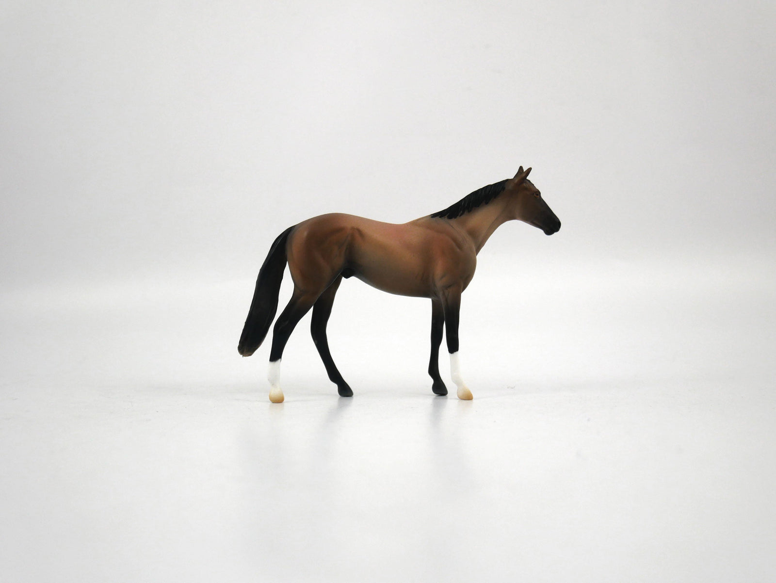 Zelig-OOAK Brown Bay TB Chip 1/27/21