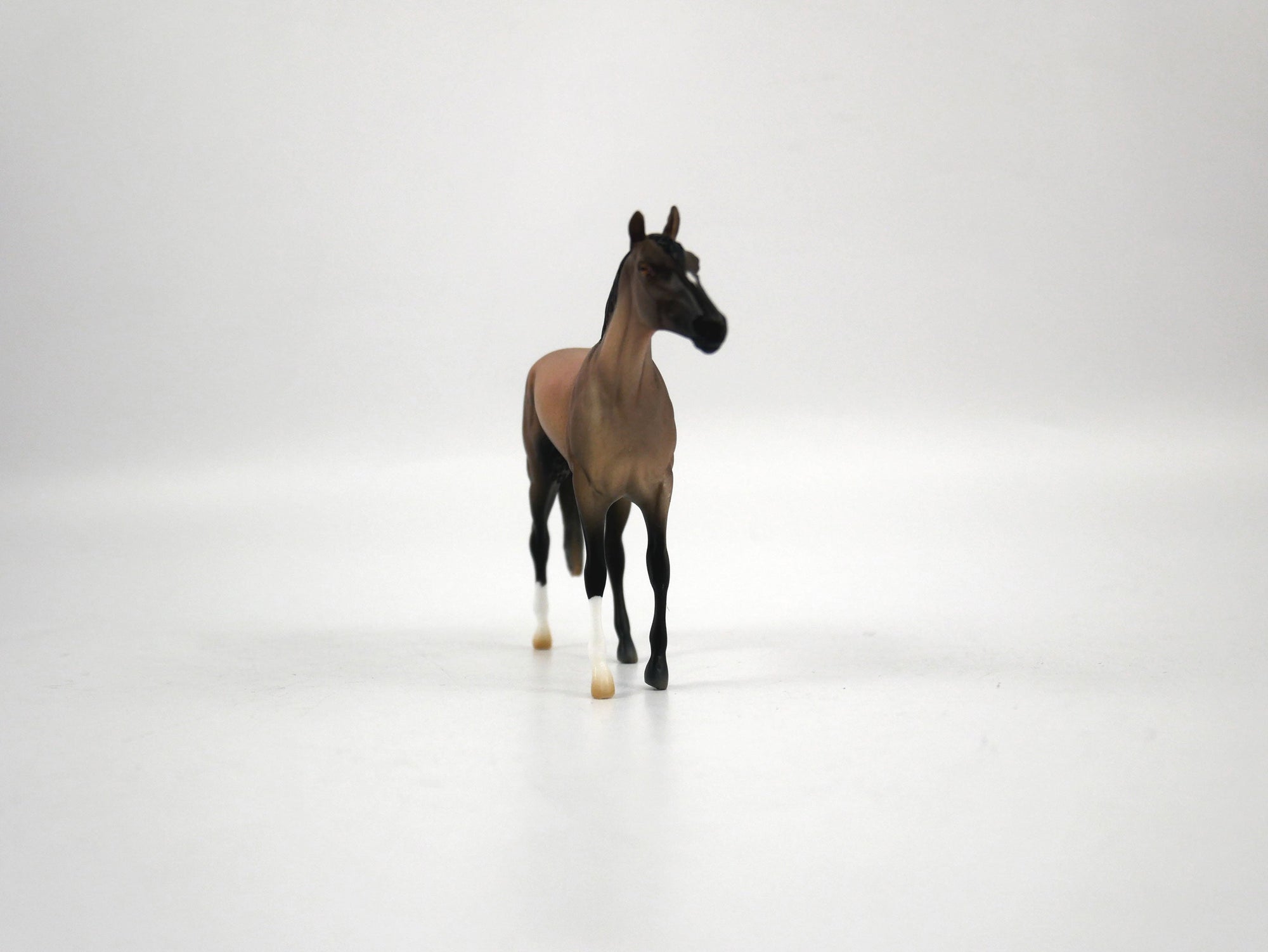 Zelig-OOAK Brown Bay TB Chip 1/27/21