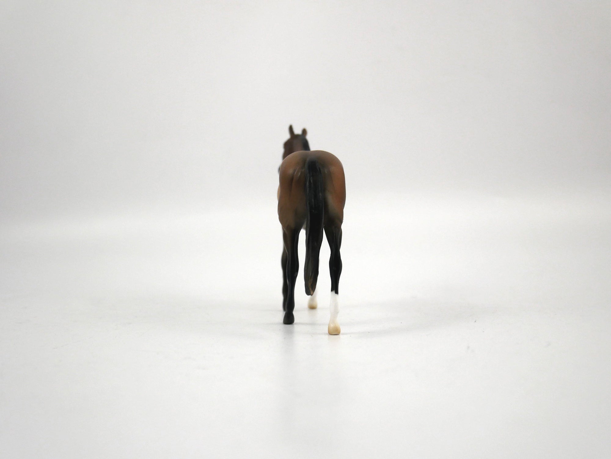 Zelig-OOAK Brown Bay TB Chip 1/27/21