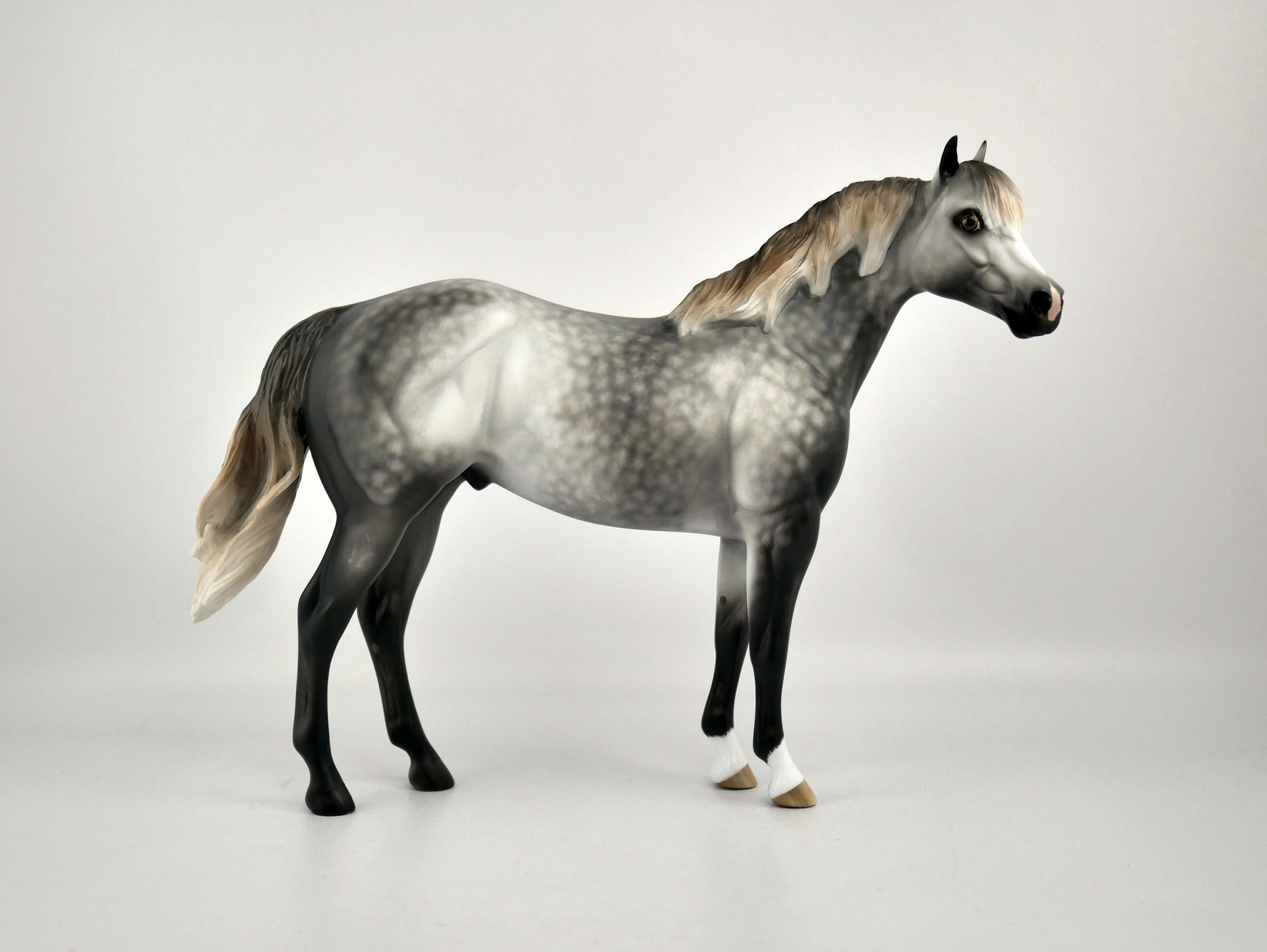 ZEPHYR-OOAK DAPPLE GREY ISH BY SHERYL LEISURE 12/03/20