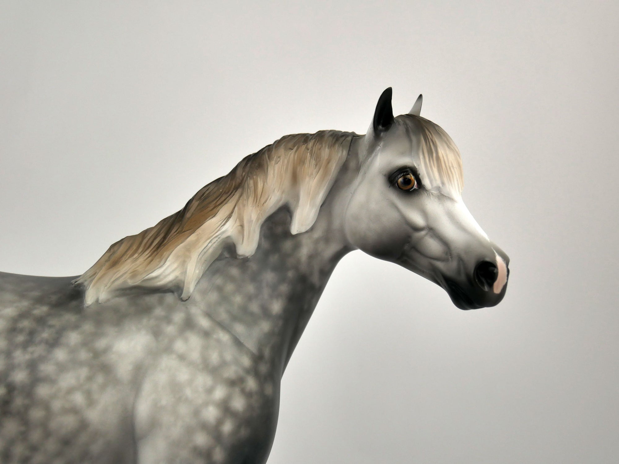 ZEPHYR-OOAK DAPPLE GREY ISH BY SHERYL LEISURE 12/03/20