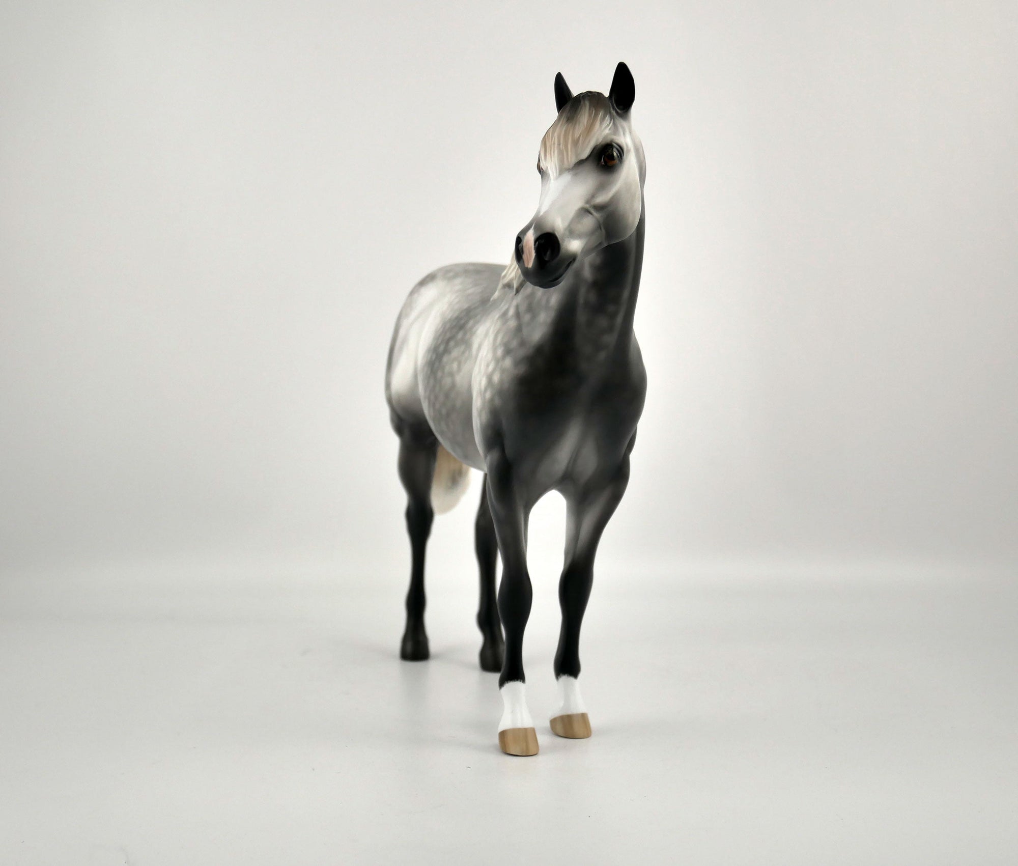 ZEPHYR-OOAK DAPPLE GREY ISH BY SHERYL LEISURE 12/03/20