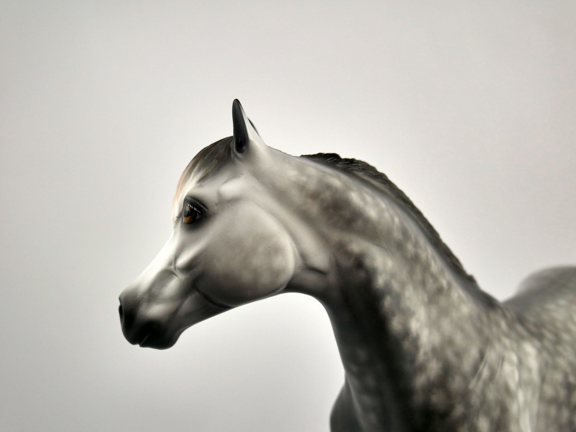 ZEPHYR-OOAK DAPPLE GREY ISH BY SHERYL LEISURE 12/03/20