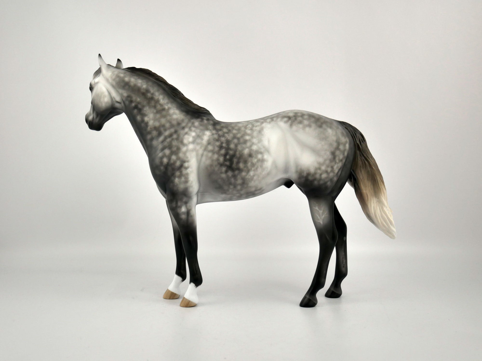 ZEPHYR-OOAK DAPPLE GREY ISH BY SHERYL LEISURE 12/03/20