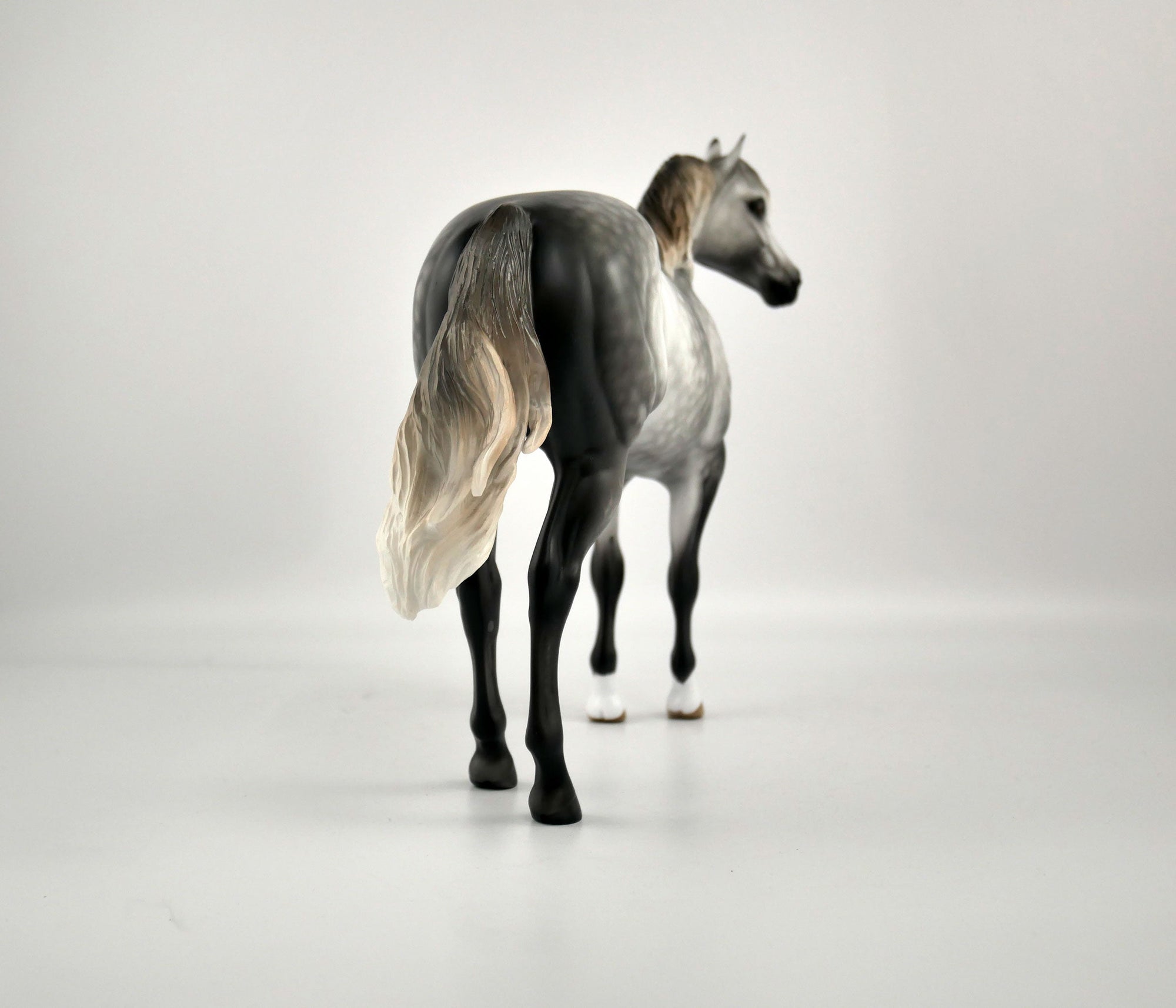 ZEPHYR-OOAK DAPPLE GREY ISH BY SHERYL LEISURE 12/03/20