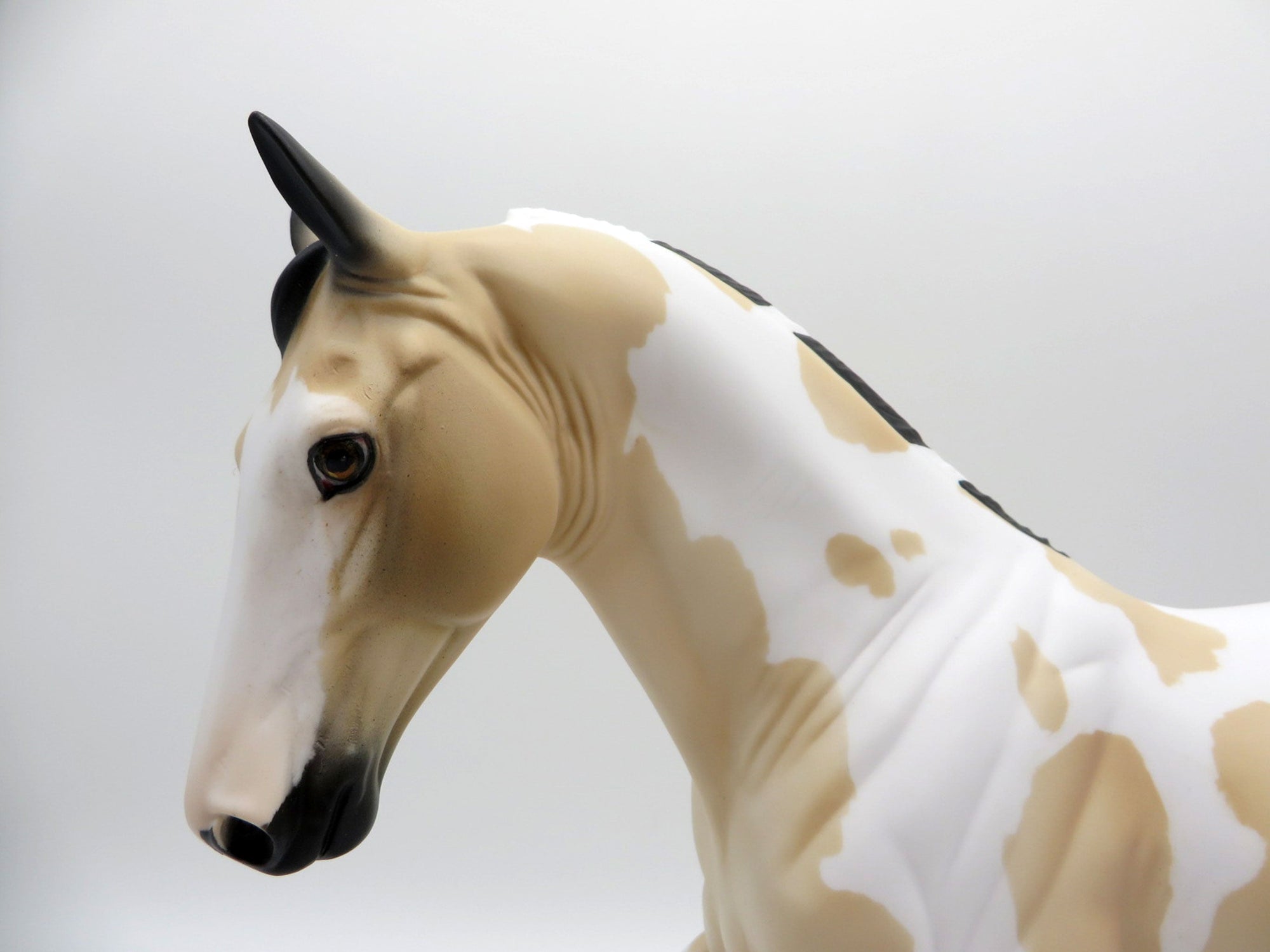 Zhongli-OOAK Buckskin Tobiano Tennessee Walker Painted By Julie Keim EQ 2021