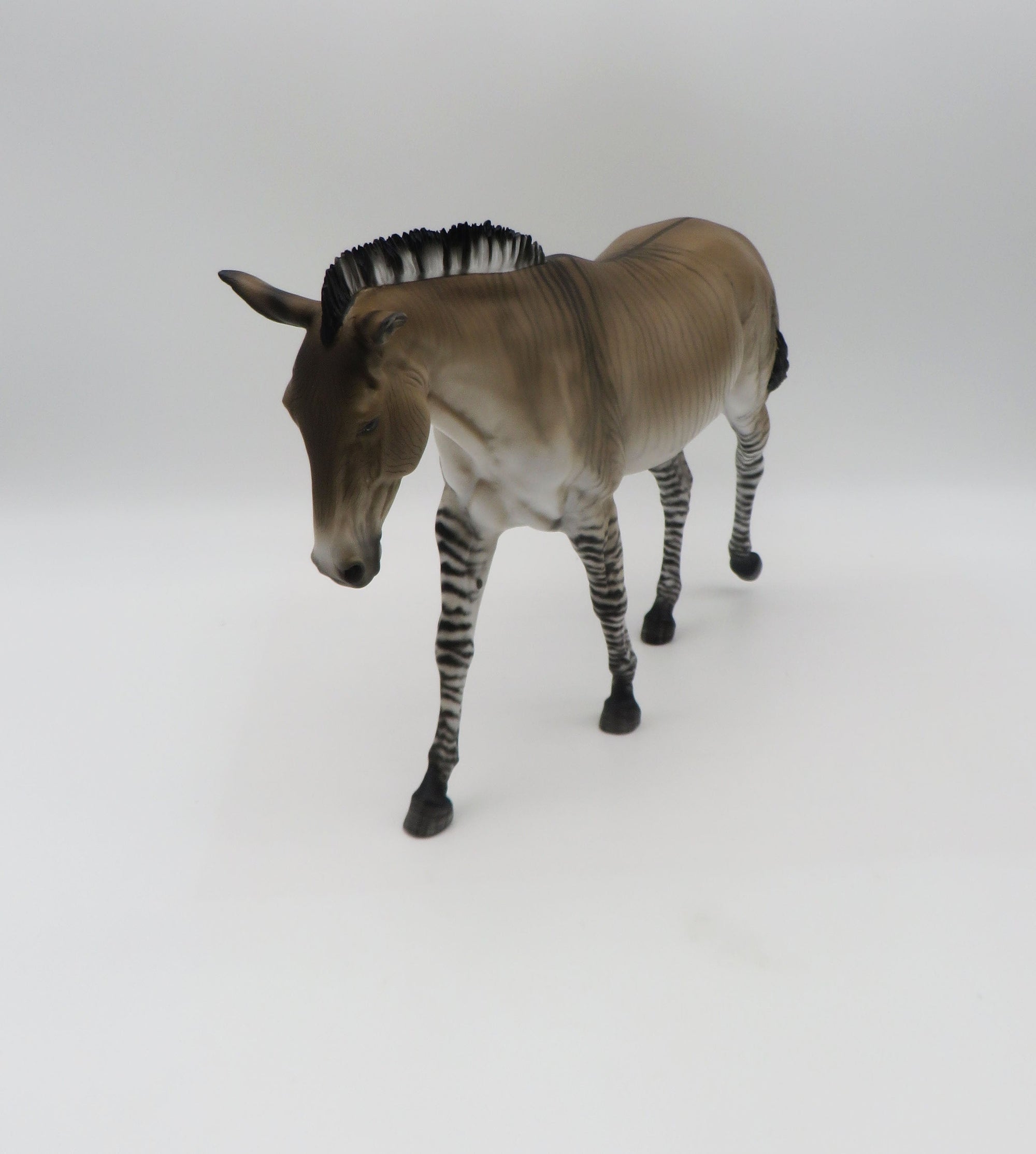 Zig Zag-OOAK Zedonk/Mule By Myla Pearce 5/19/23