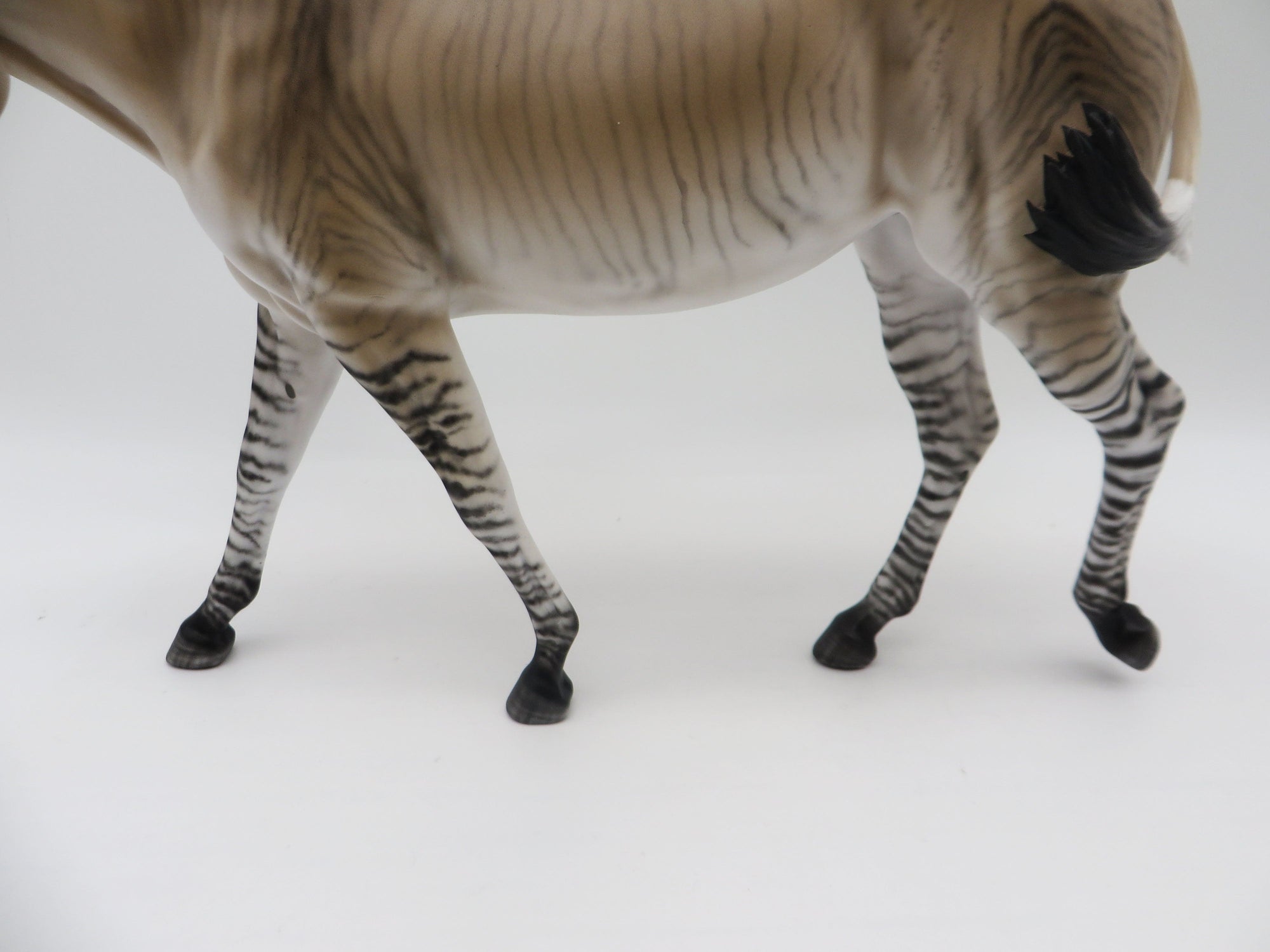 Zig Zag-OOAK Zedonk/Mule By Myla Pearce 5/19/23