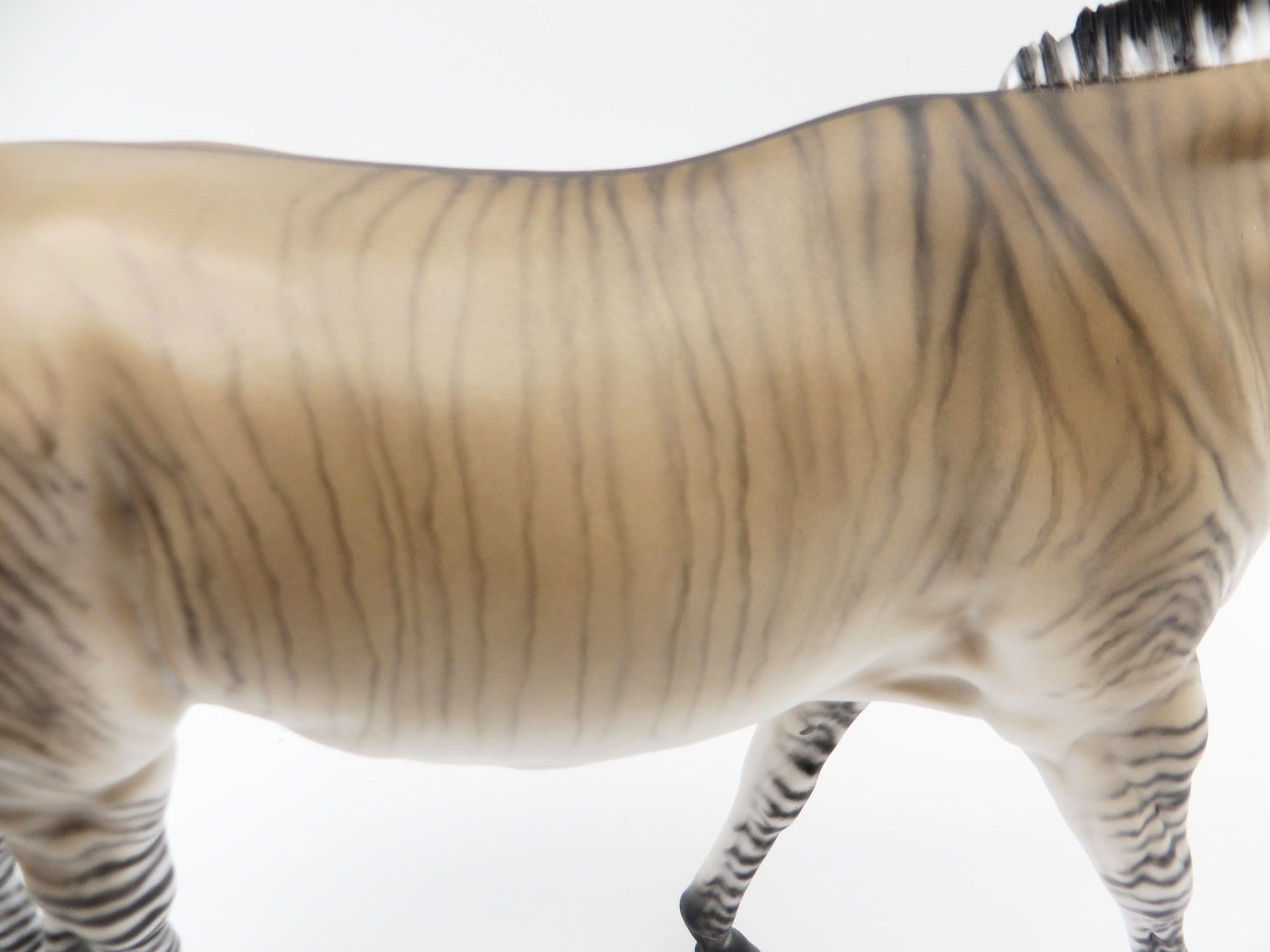 Zig Zag-OOAK Zedonk/Mule By Myla Pearce 5/19/23