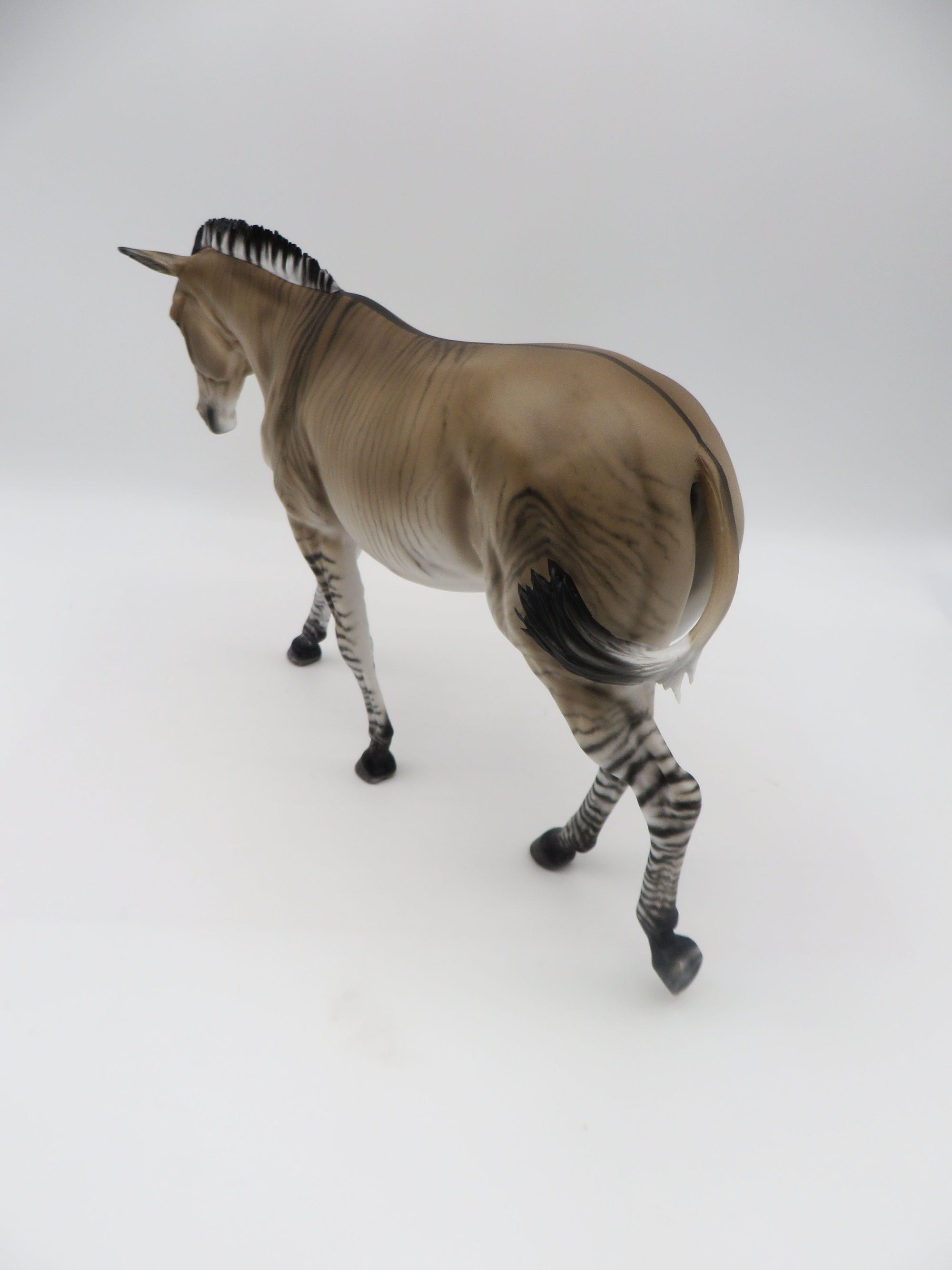 Zig Zag-OOAK Zedonk/Mule By Myla Pearce 5/19/23