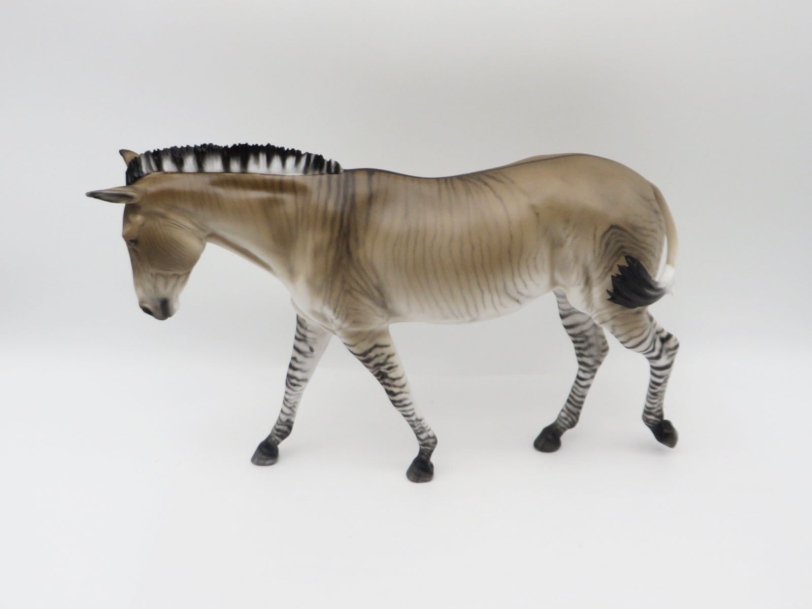 Zig Zag-OOAK Zedonk/Mule By Myla Pearce 5/19/23