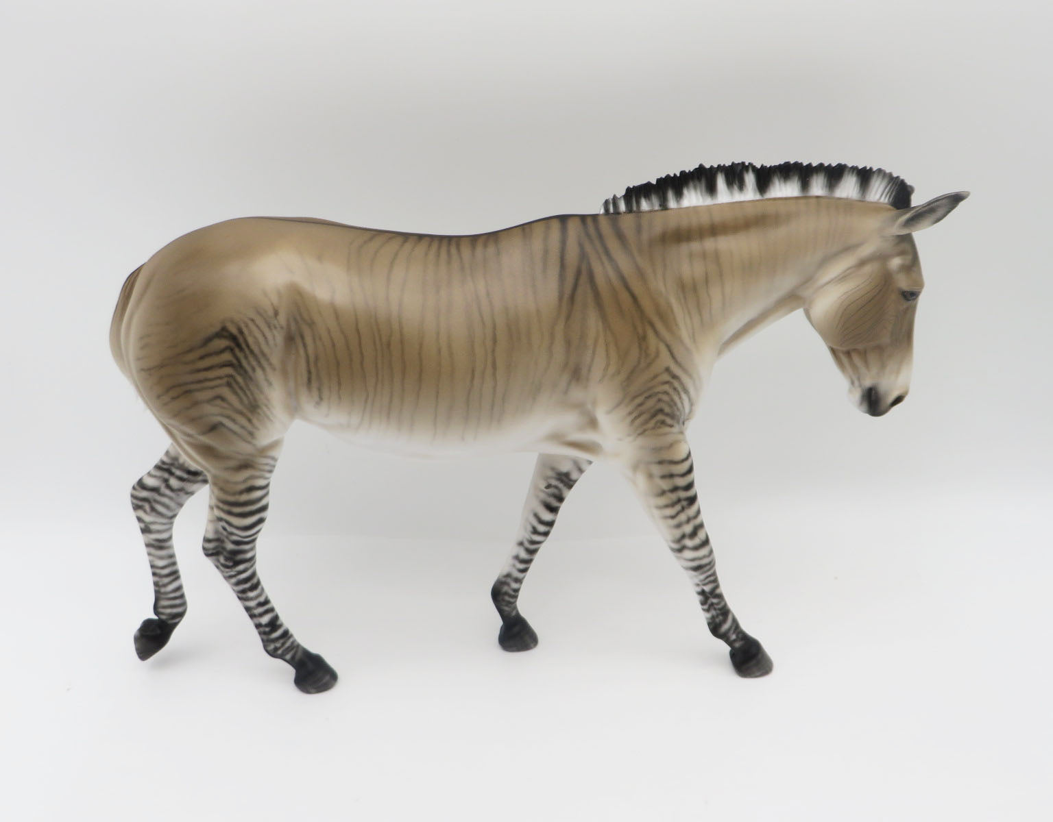 Zig Zag-OOAK Zedonk/Mule By Myla Pearce 5/19/23