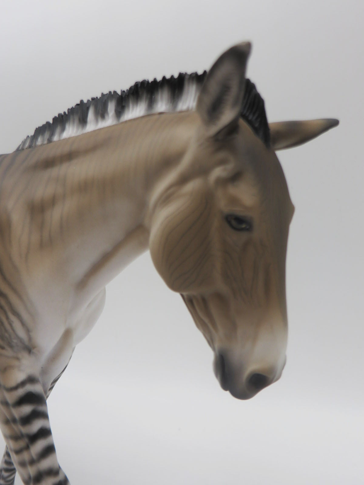 Zig Zag-OOAK Zedonk/Mule By Myla Pearce 5/19/23