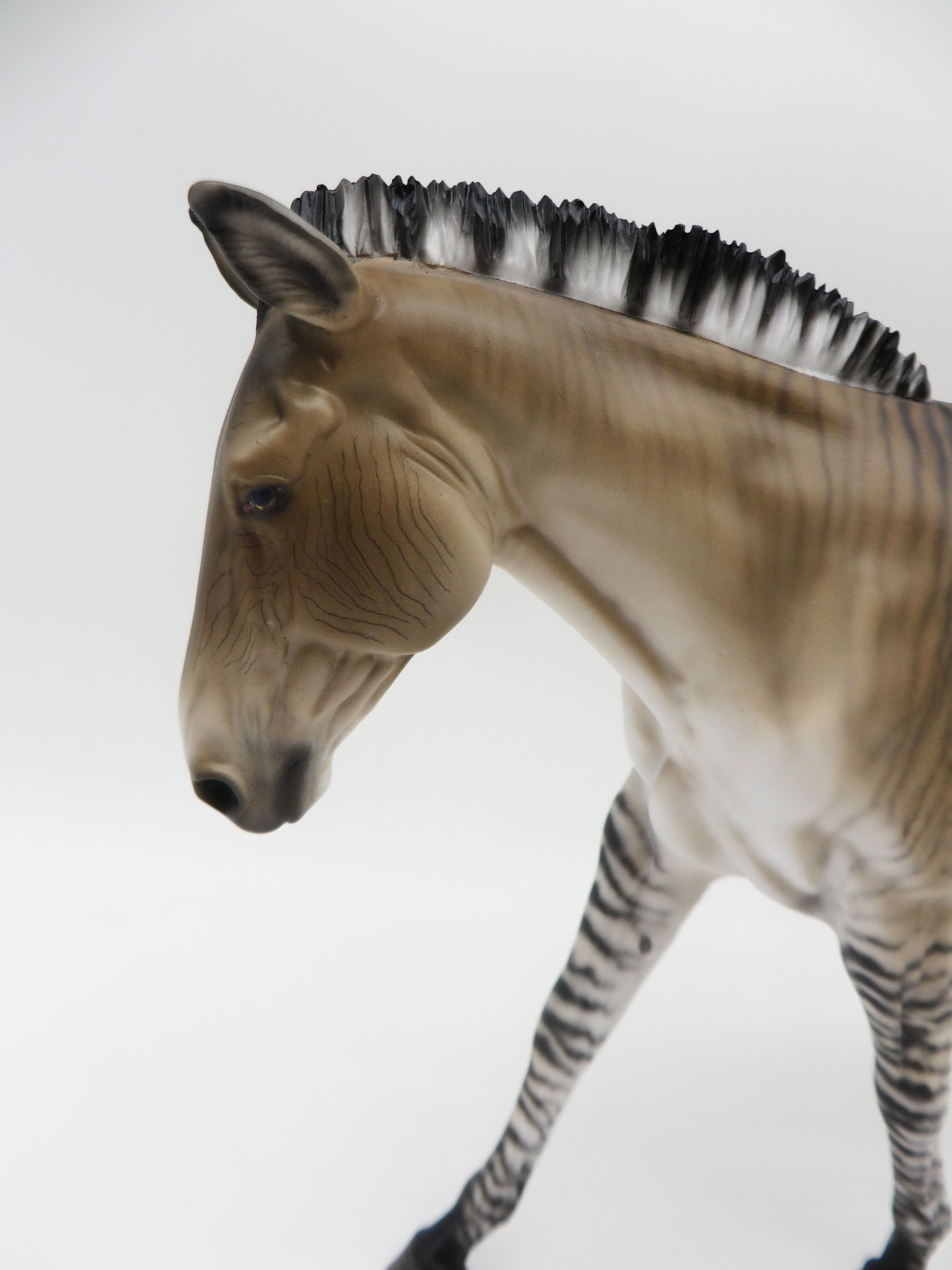 Zig Zag-OOAK Zedonk/Mule By Myla Pearce 5/19/23