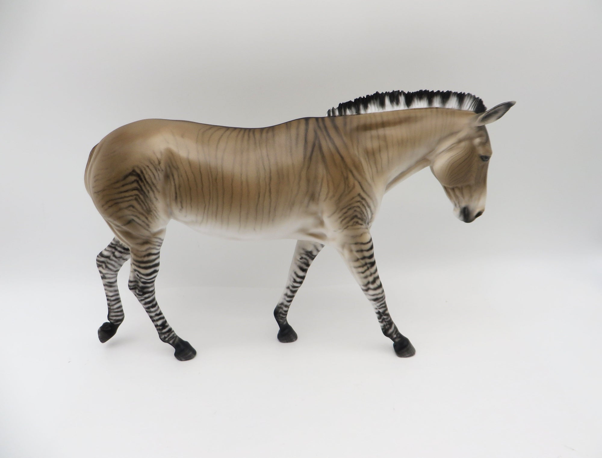 Zig Zag-OOAK Zedonk/Mule By Myla Pearce 5/19/23