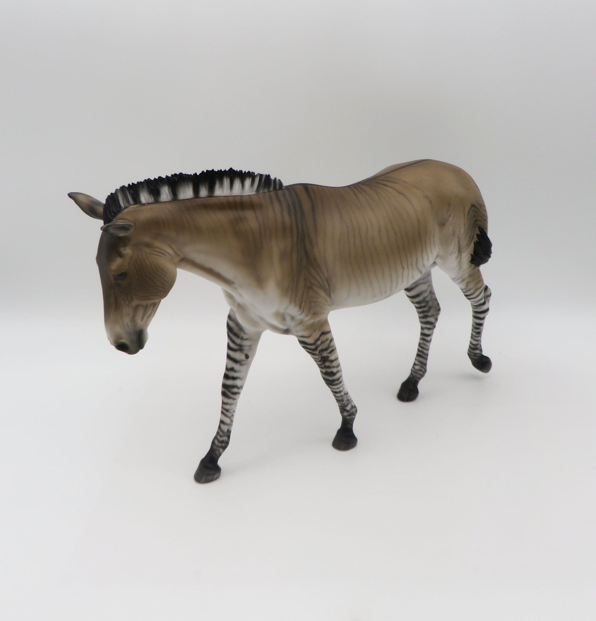 Zig Zag-OOAK Zedonk/Mule By Myla Pearce 5/19/23