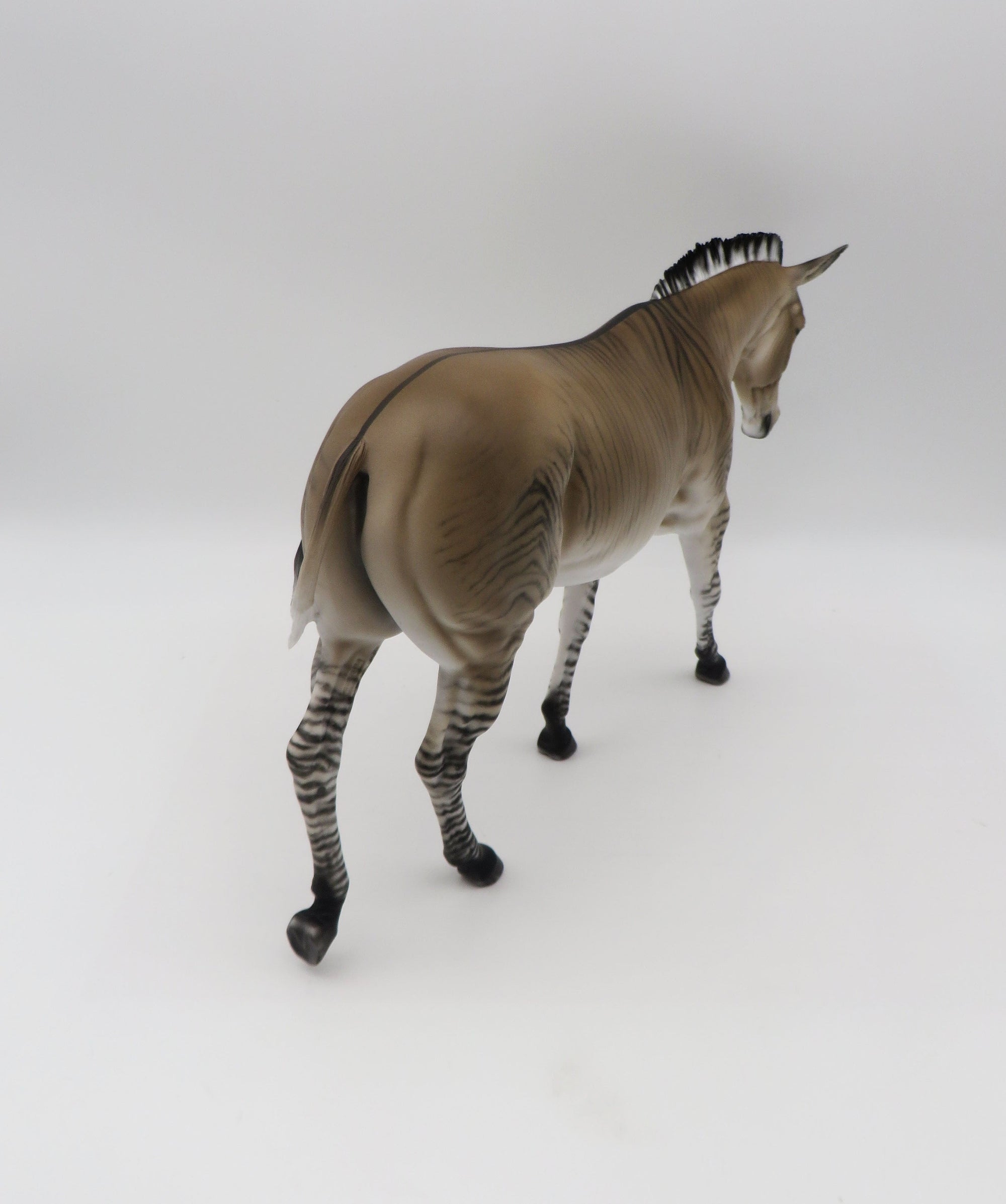 Zig Zag-OOAK Zedonk/Mule By Myla Pearce 5/19/23